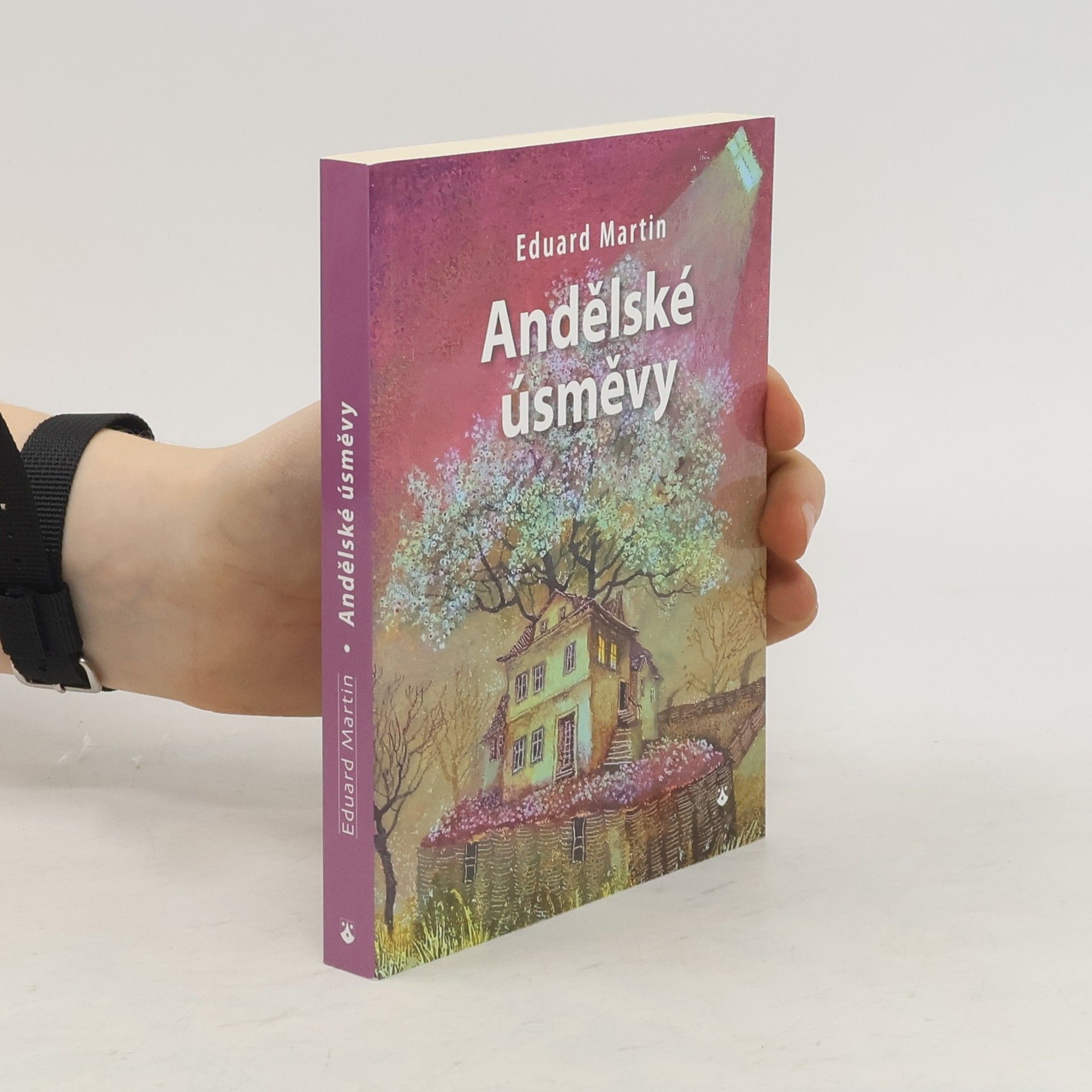Martin Petiška Andělské úsměvy