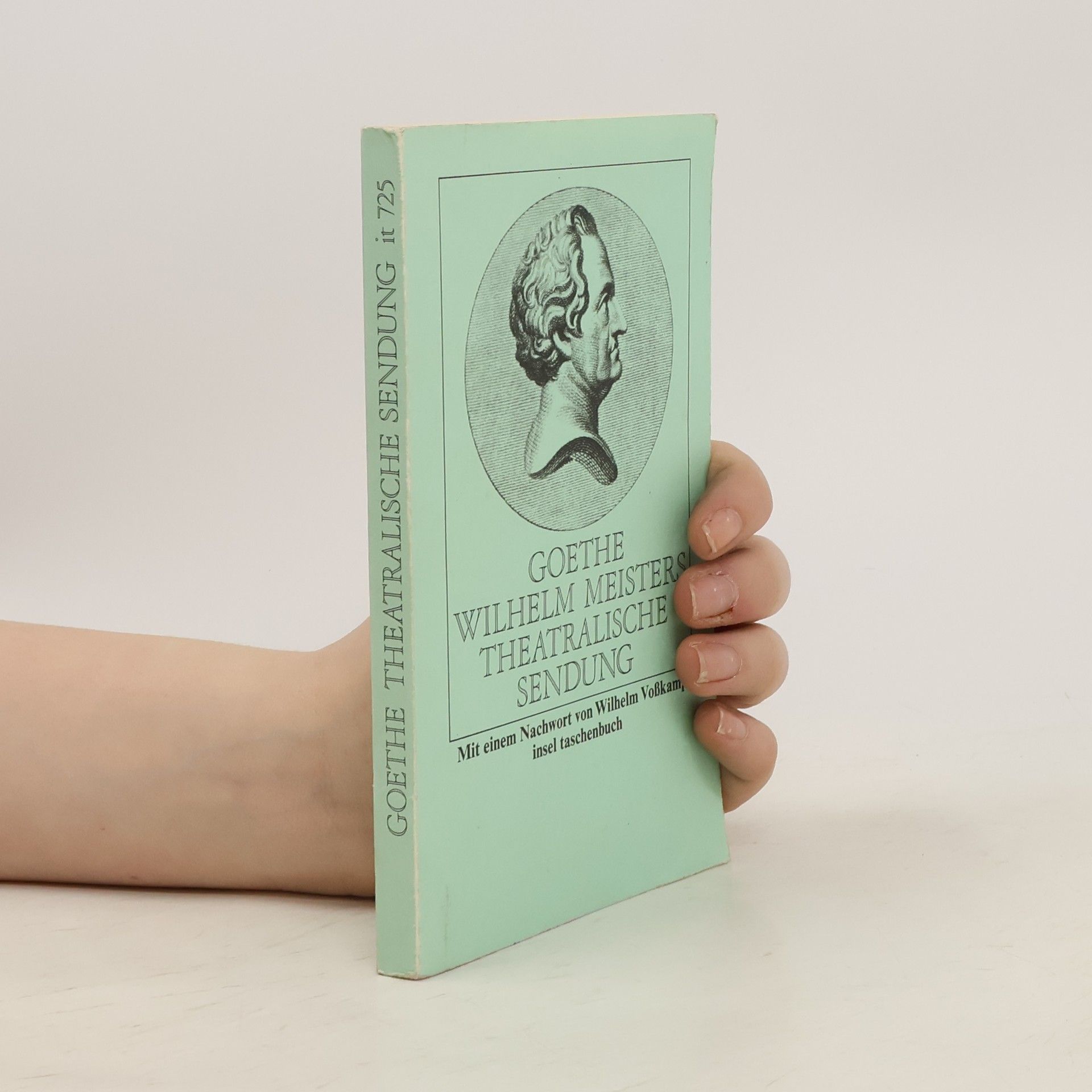 Johann Wolfgang von Goethe Wilhelm Meisters theatralische Sendung. Nachw. v. Wilhelm Voßkamp