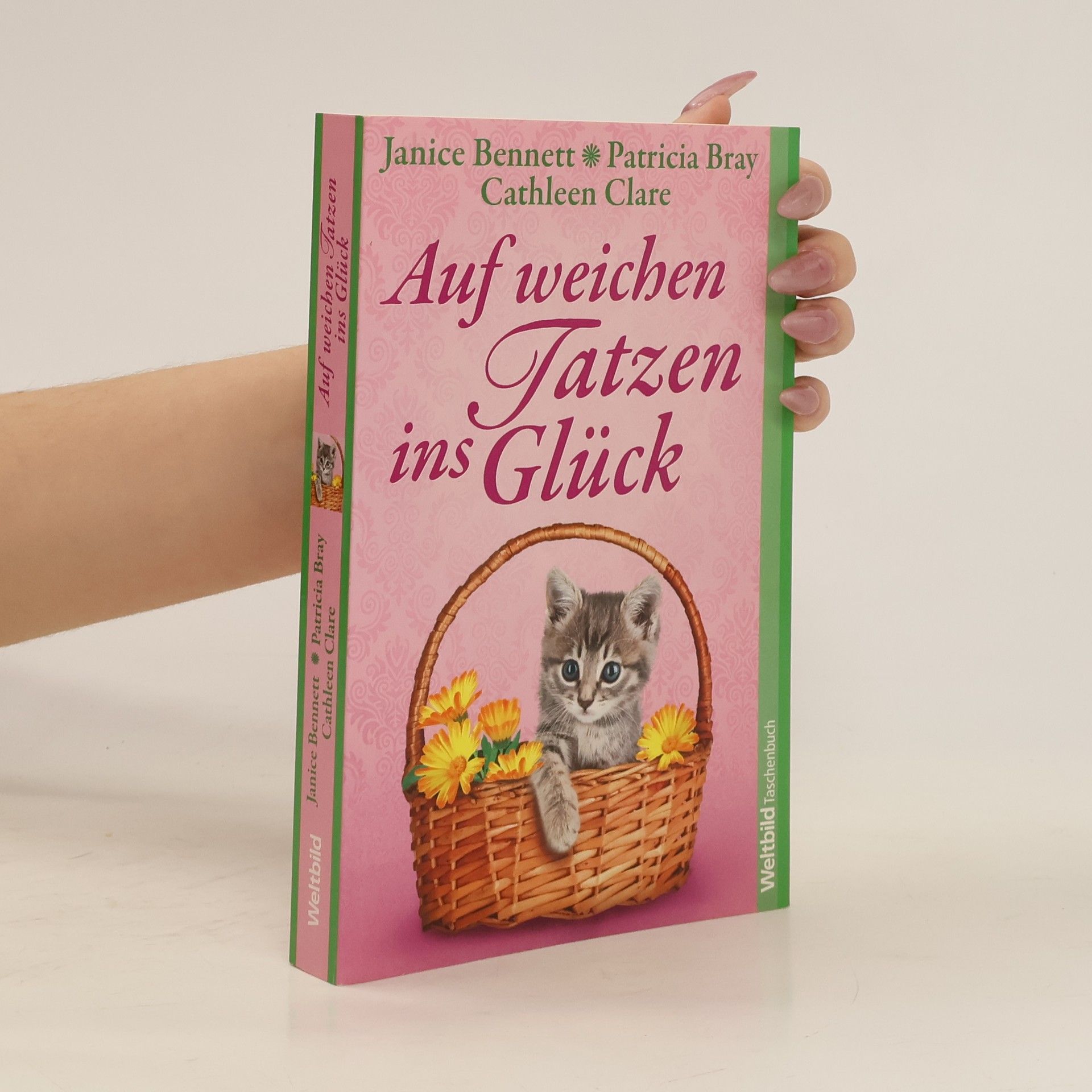 Janice Bennett Auf weichen Tatzen ins Glück