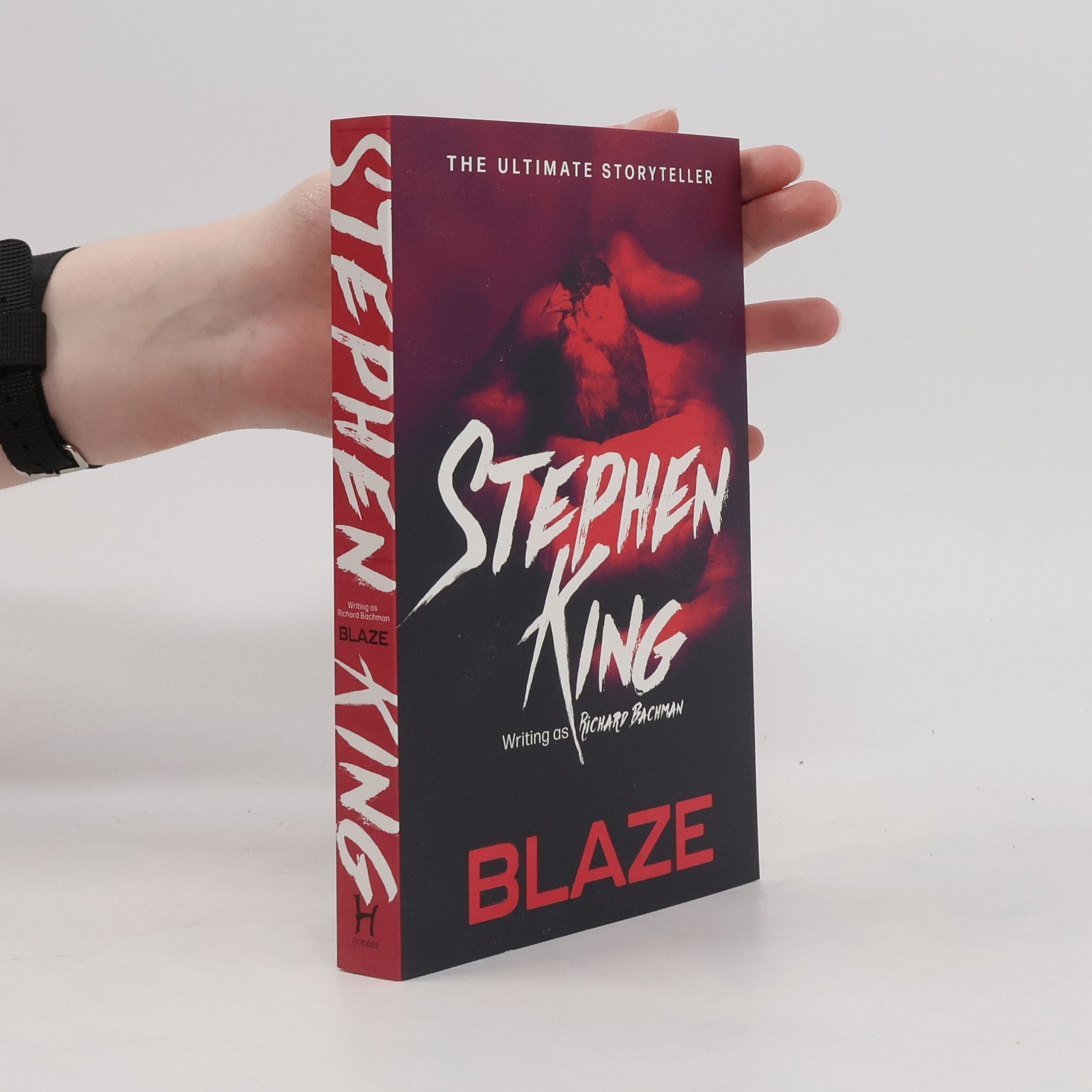 Stephen King Blaze