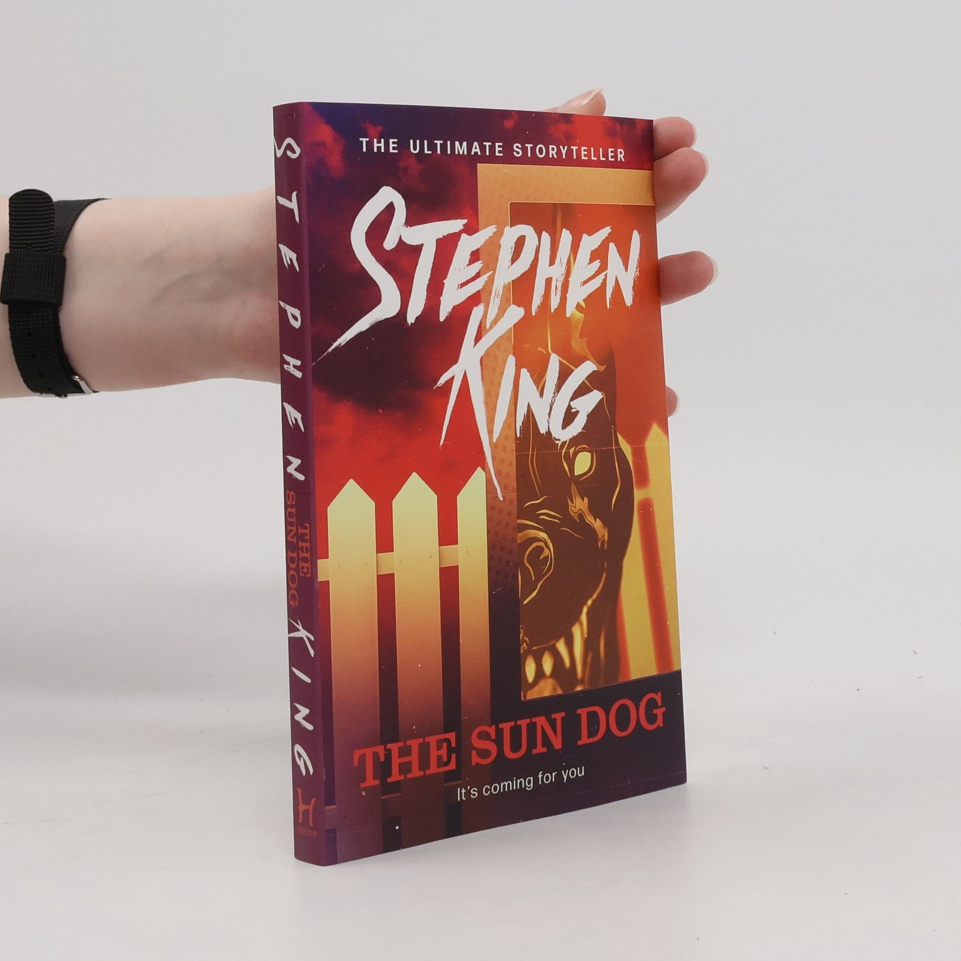 Stephen King The Sun Dog