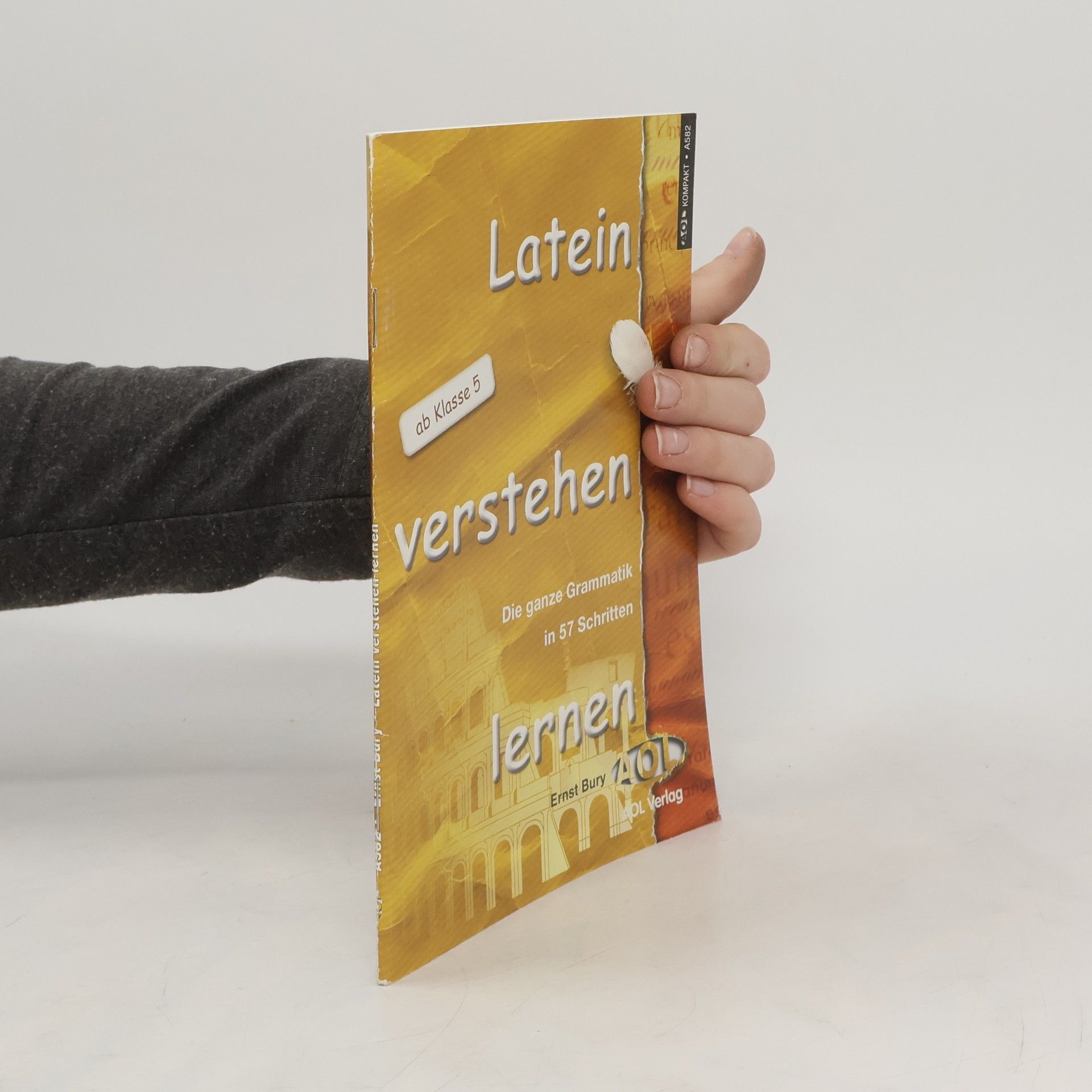 Ernest Bury Latein verstehen lernen