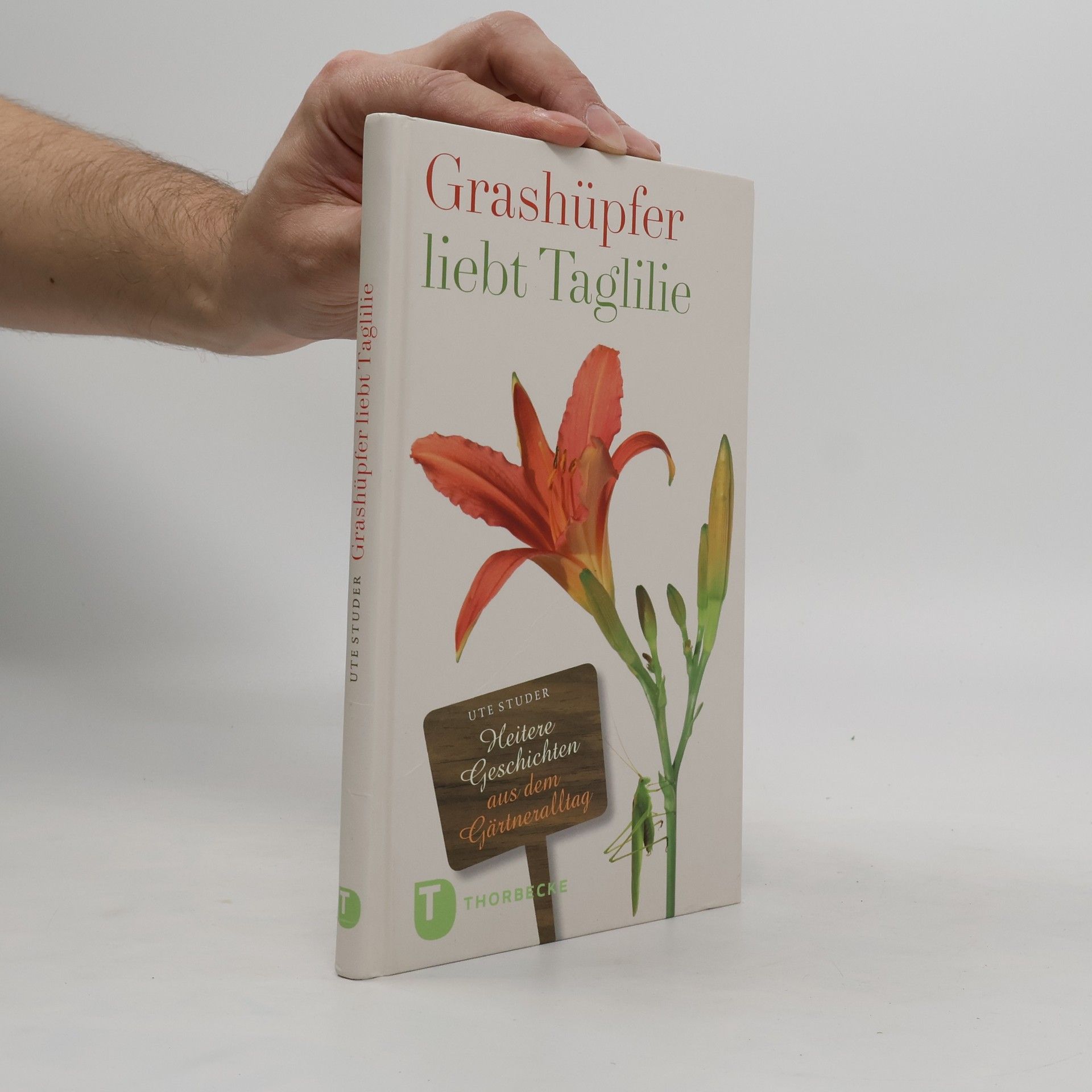 Ute Studer Grashüpfer liebt Taglilie
