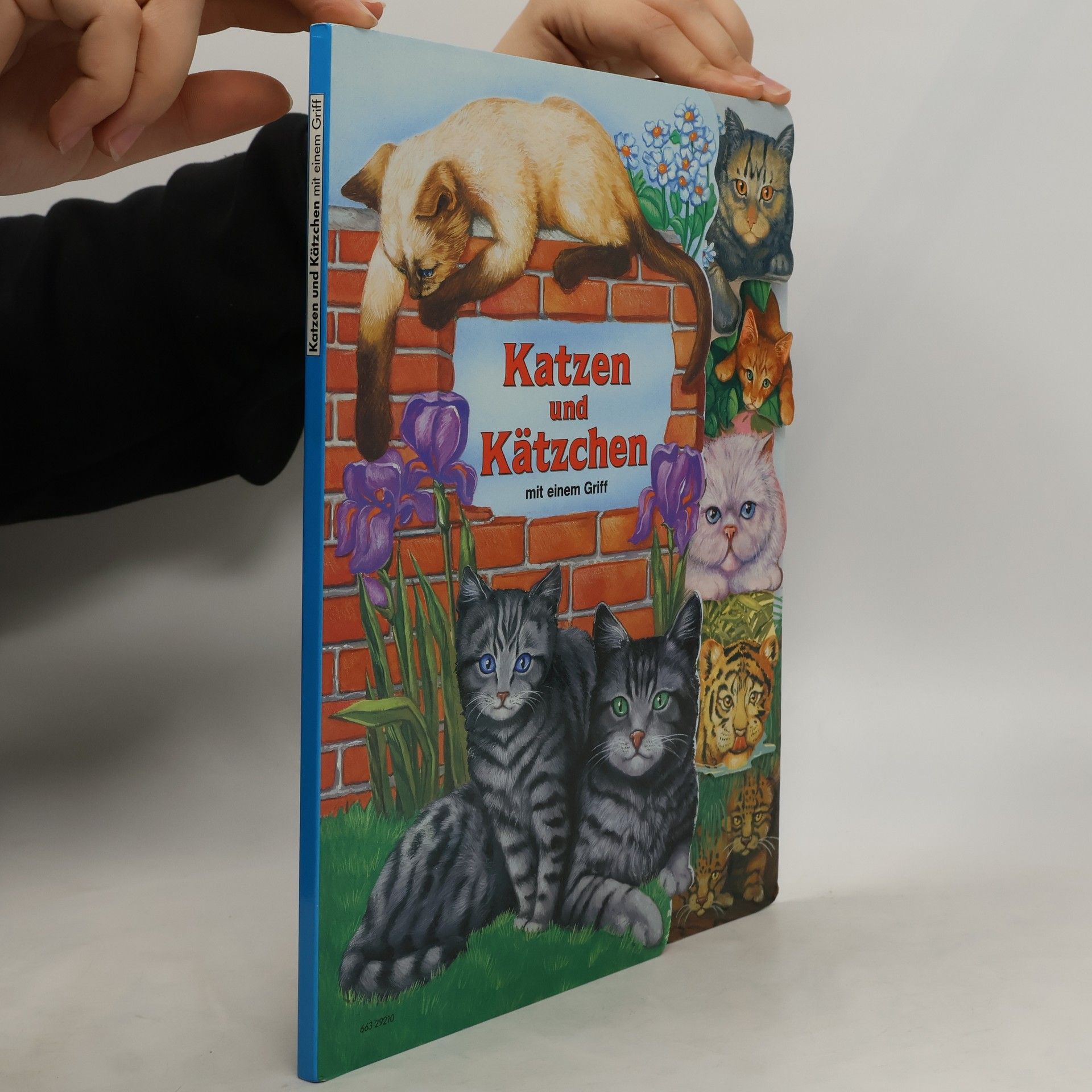 kolektiv Katzen und Kätzchen
