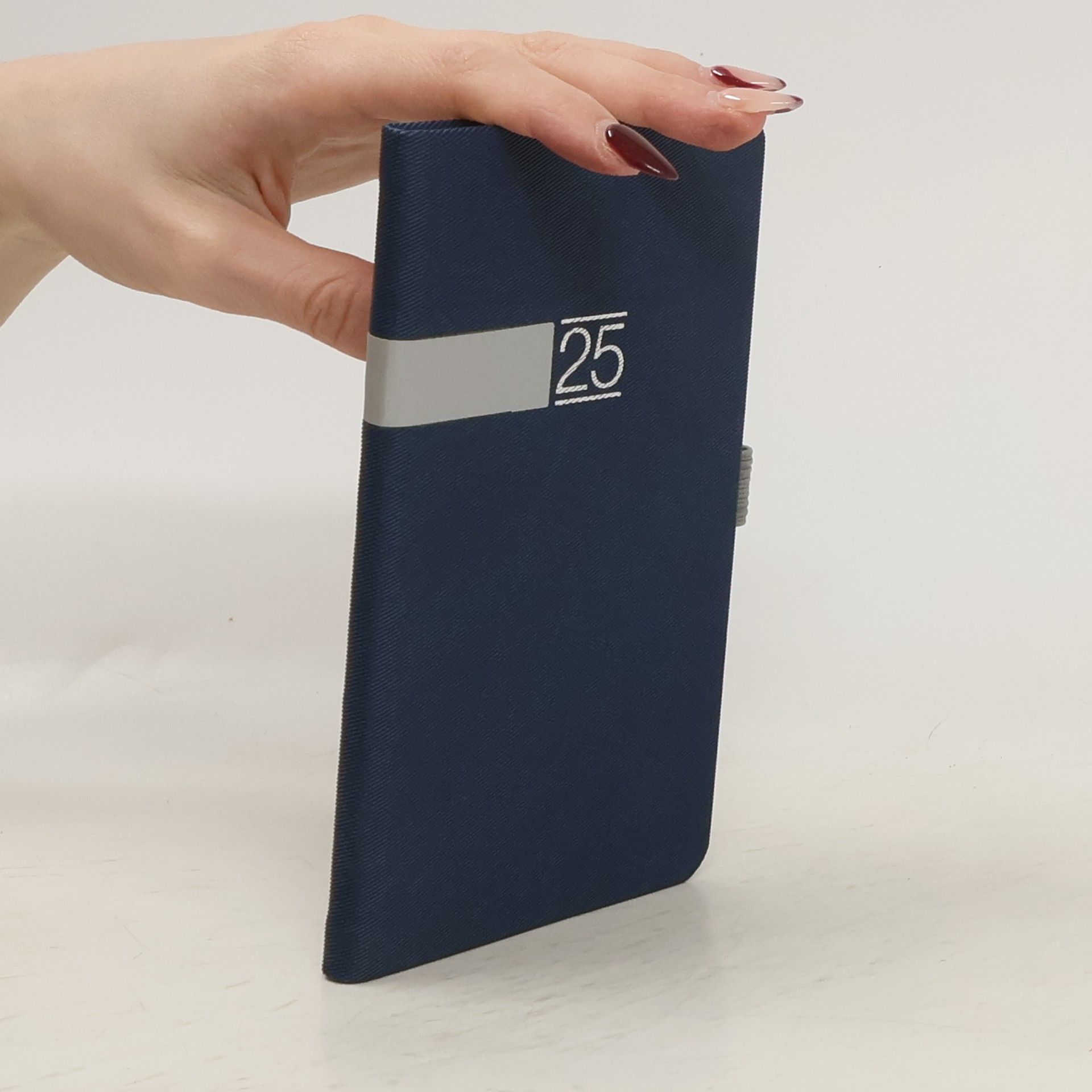 Auteurscollectief Kapesní diář 2025