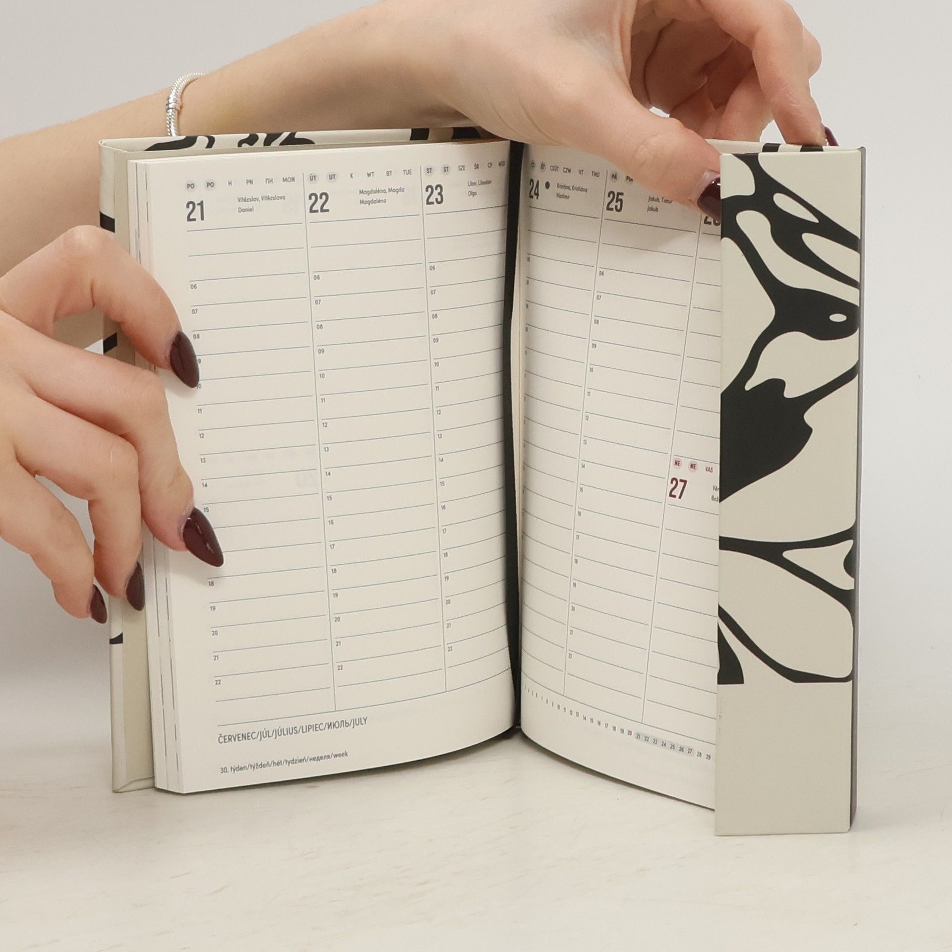AA.VV. Magnetic Weekly Diary 2025