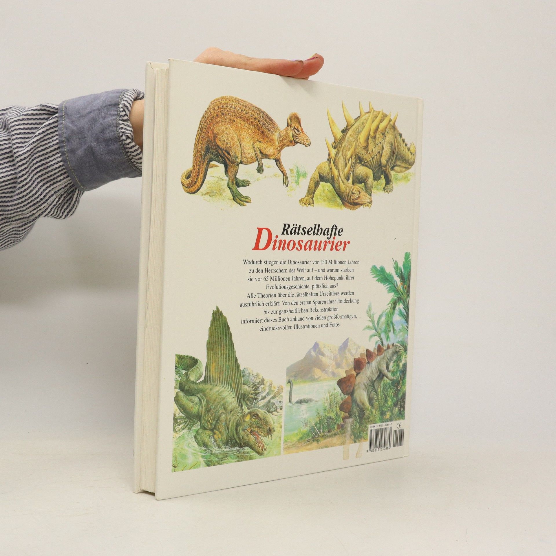 Roberto Zorzin Rätselhafte Dinosaurier