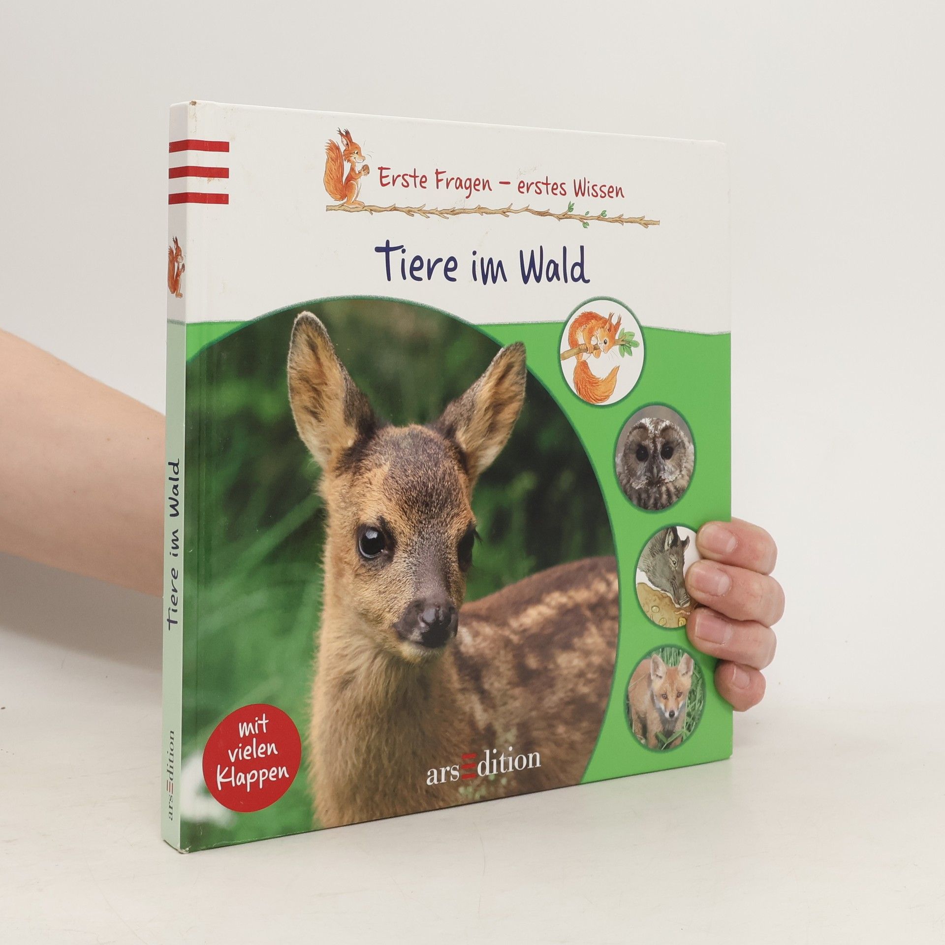 Bärbel Skarabela Tiere im Wald