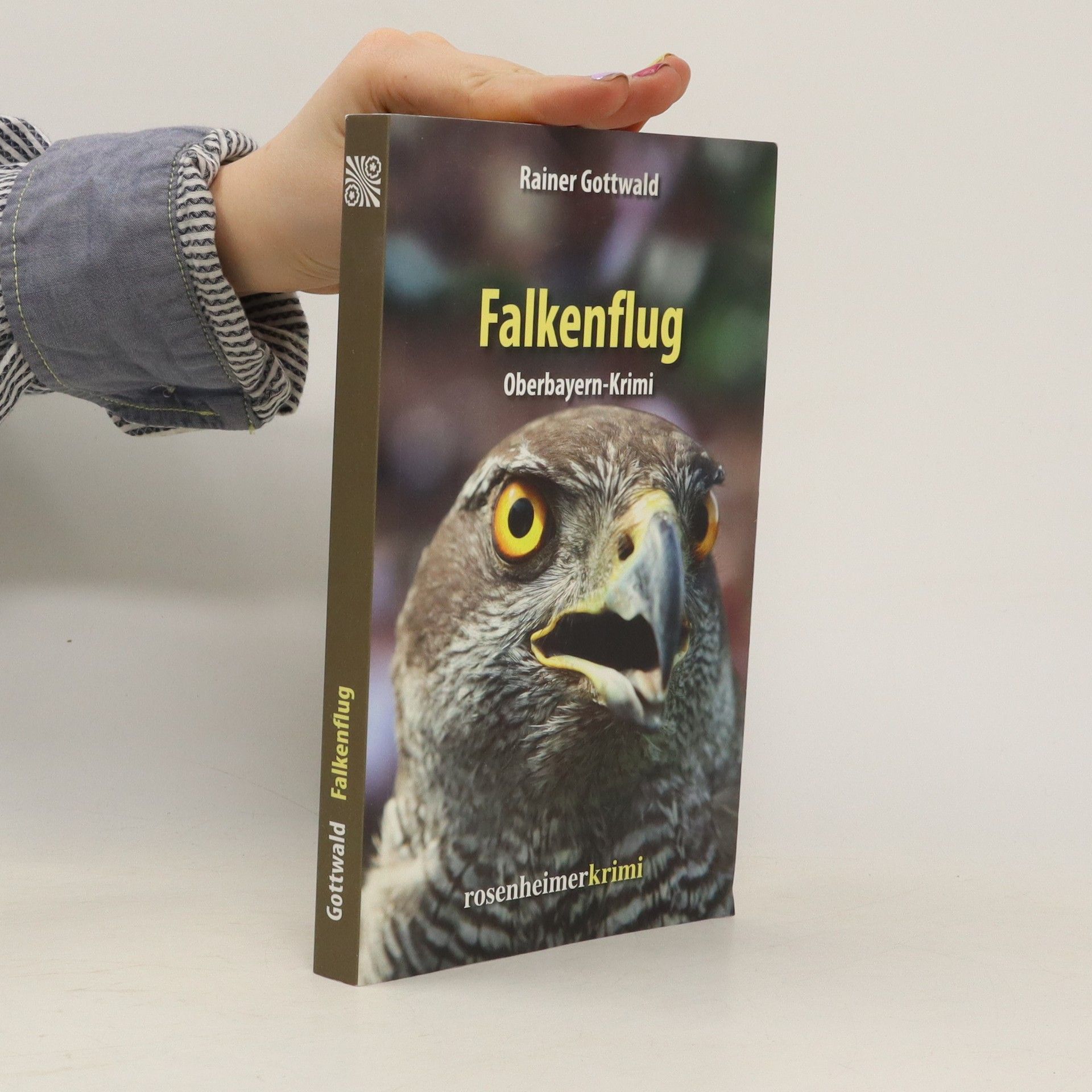 Rainer Gottwald Falkenflug