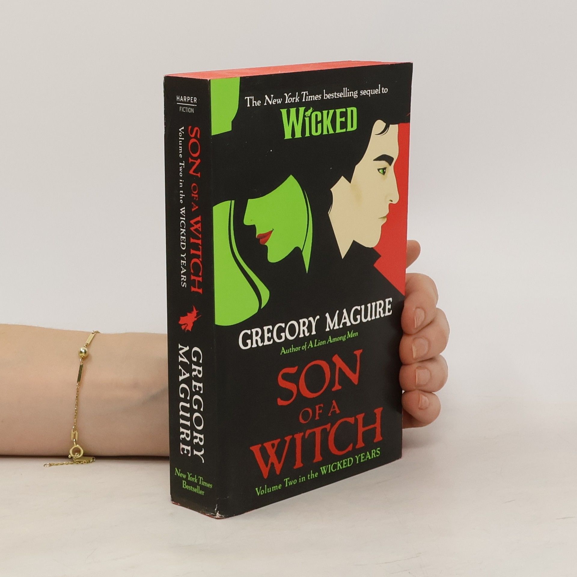 Gregory Maguire Son of a Witch