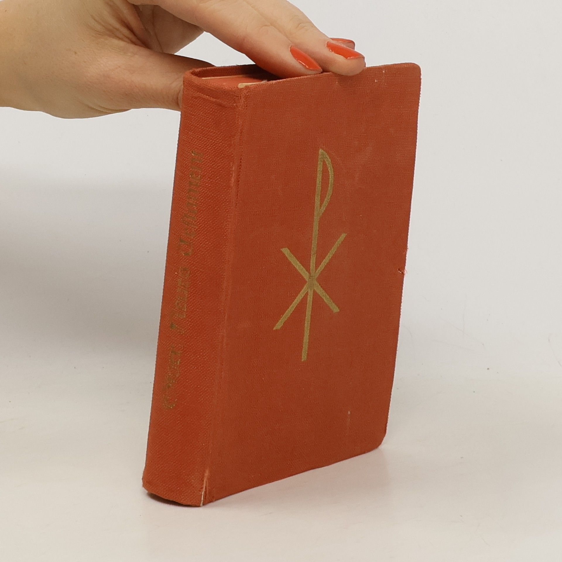 Rupert Storr Neues Testament