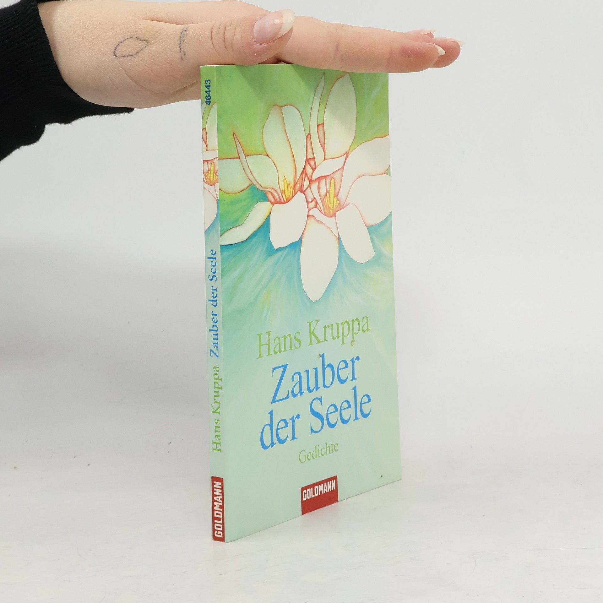 Hans Kruppa Zauber der Seele. Gedichte