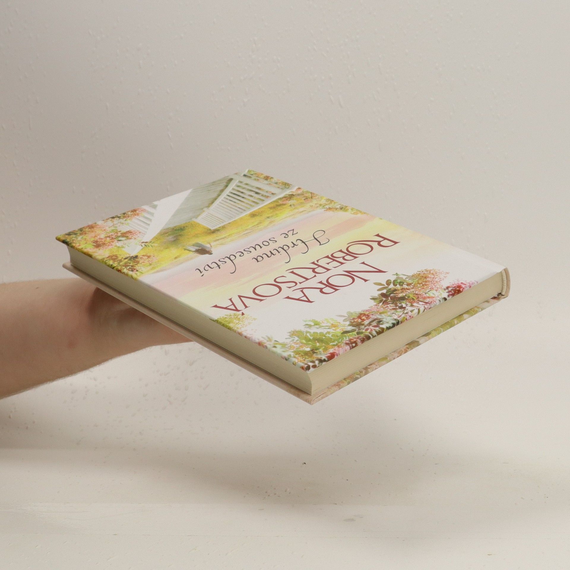 Nora Roberts Hrdina ze sousedství