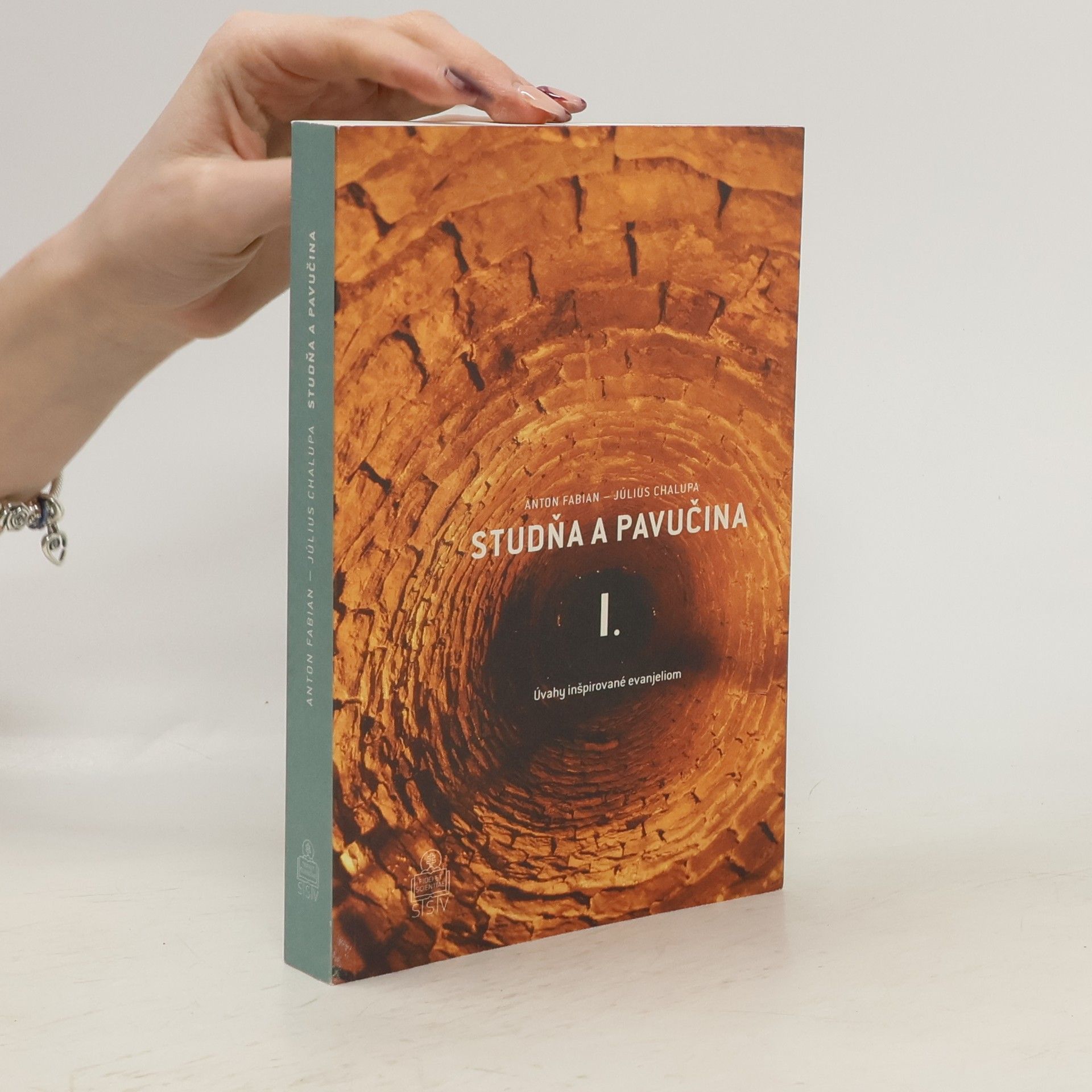 Anton Fabian Studňa a pavučina I.