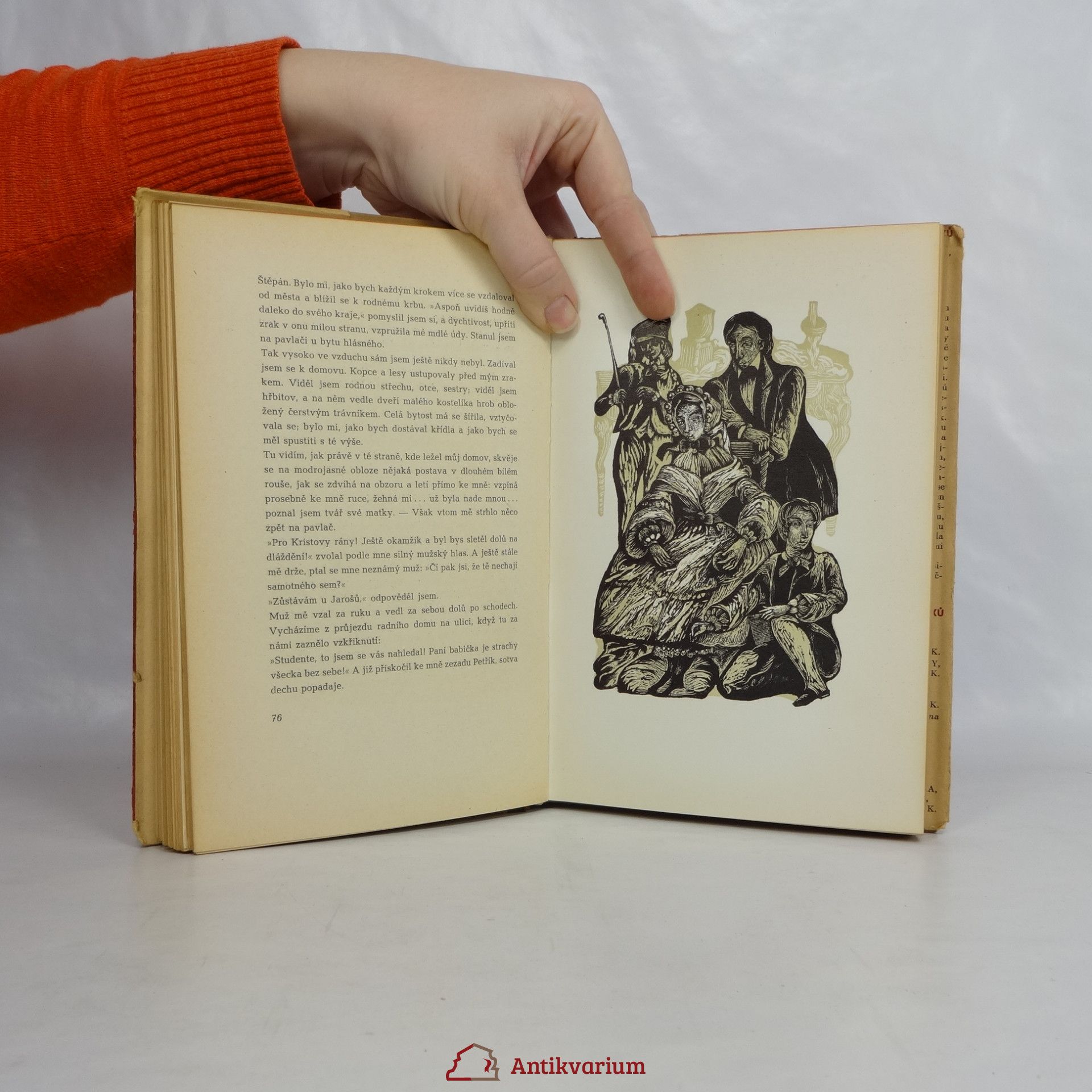 Max-Ferdinand Schulz Latinská babička