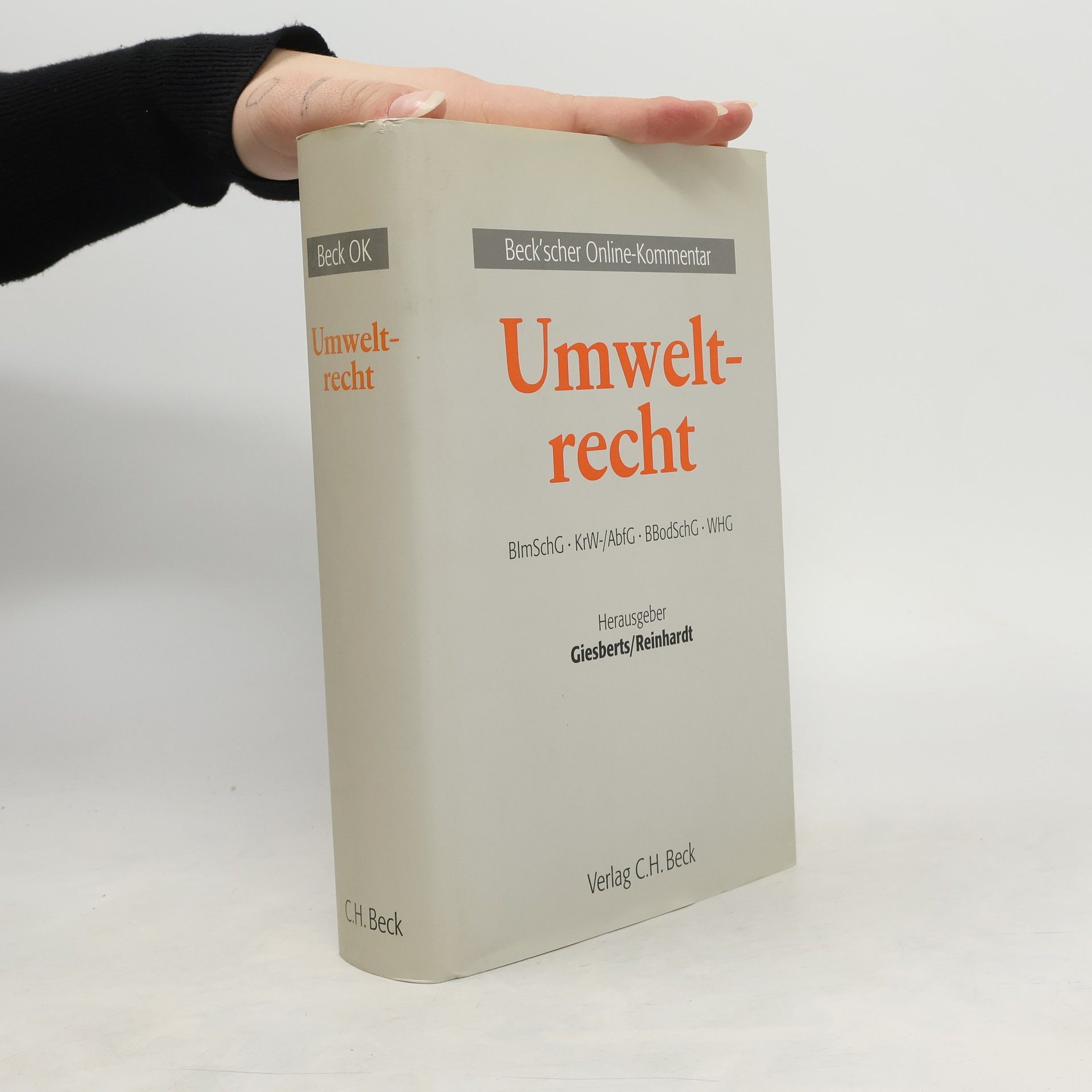 Ludger Giesberts Umweltrecht