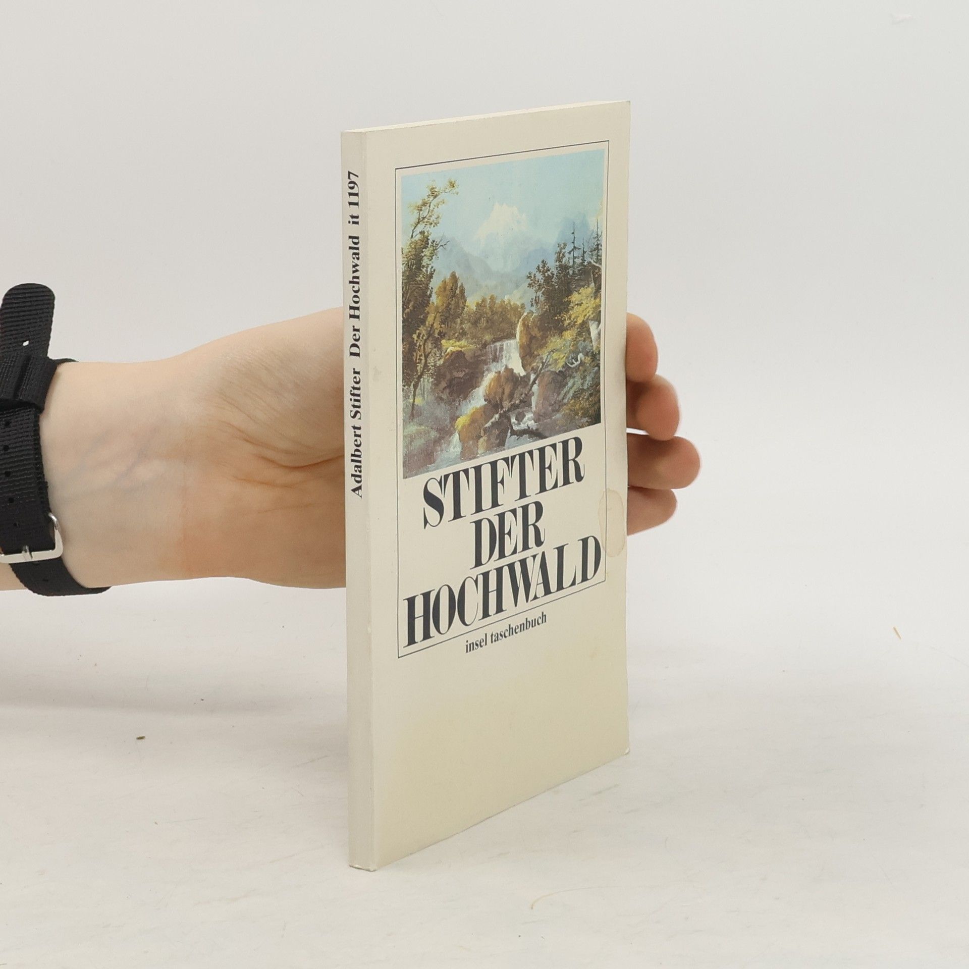 Adalbert Stifter Der Hochwald