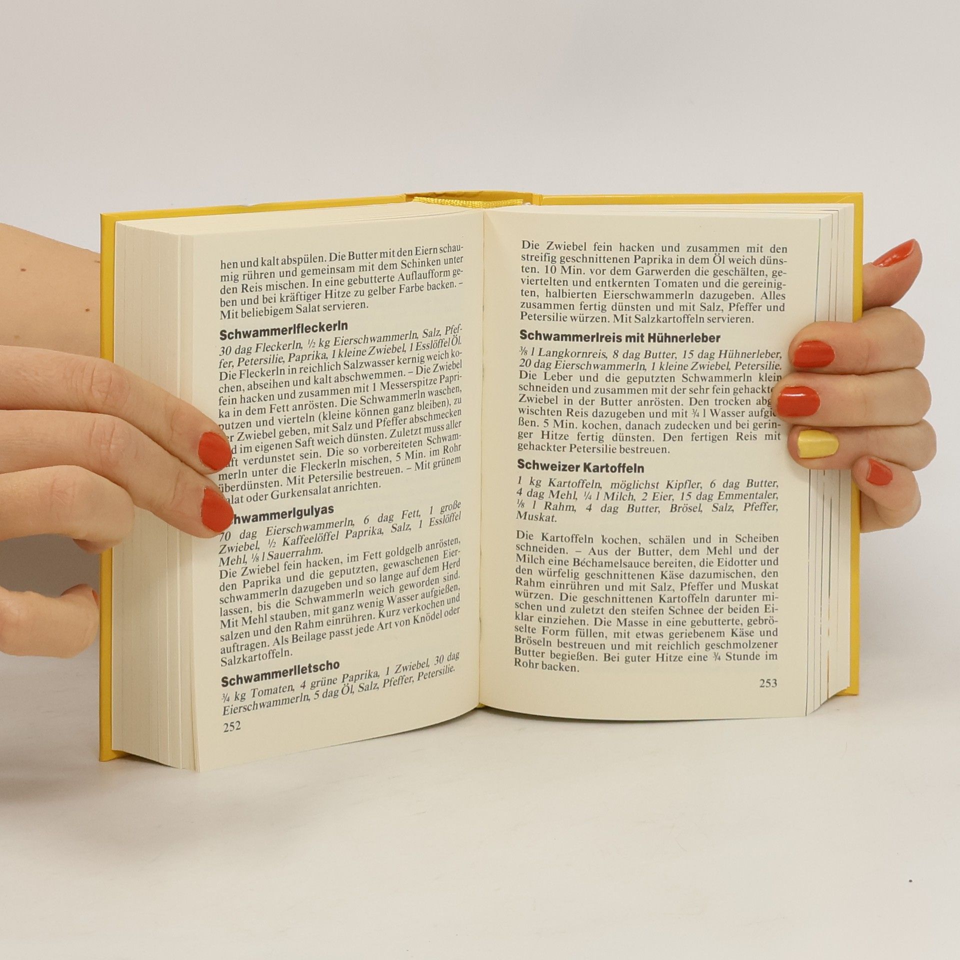 Autorenkollektiv Kronen Zeitung Koch Buch