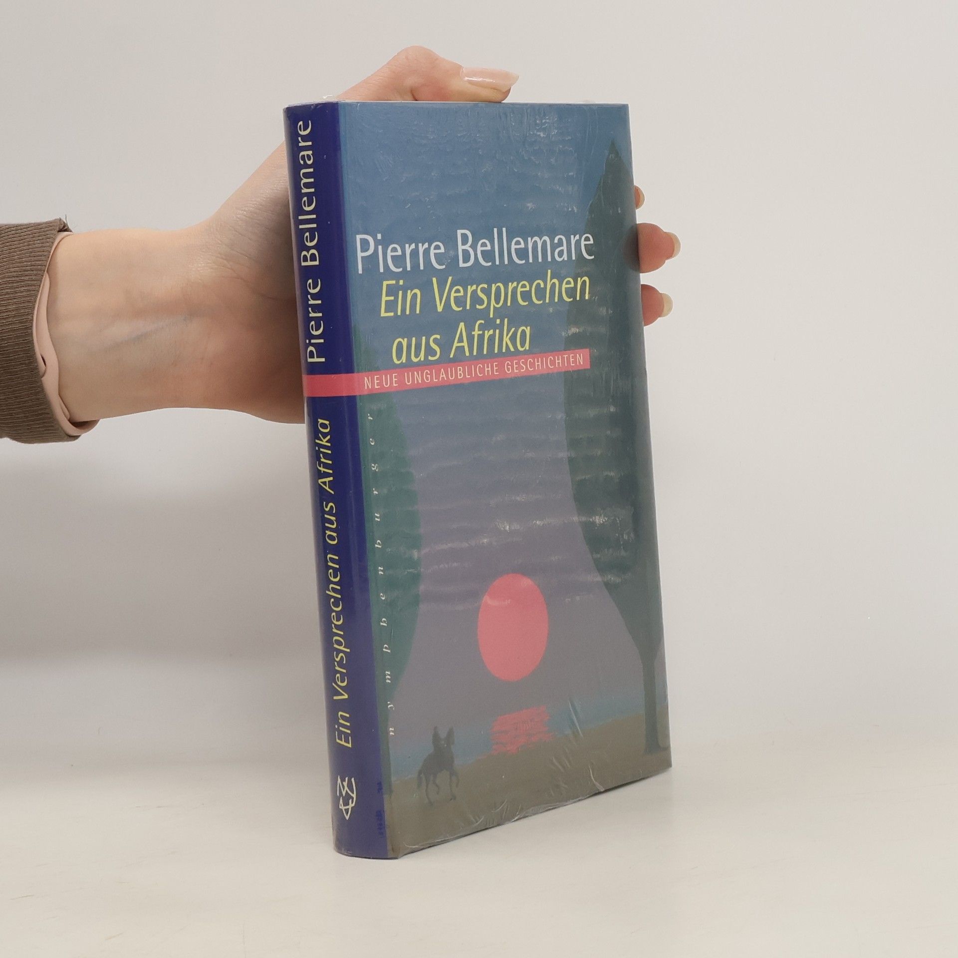 Pierre Bellemare Ein Versprechen aus Afrika