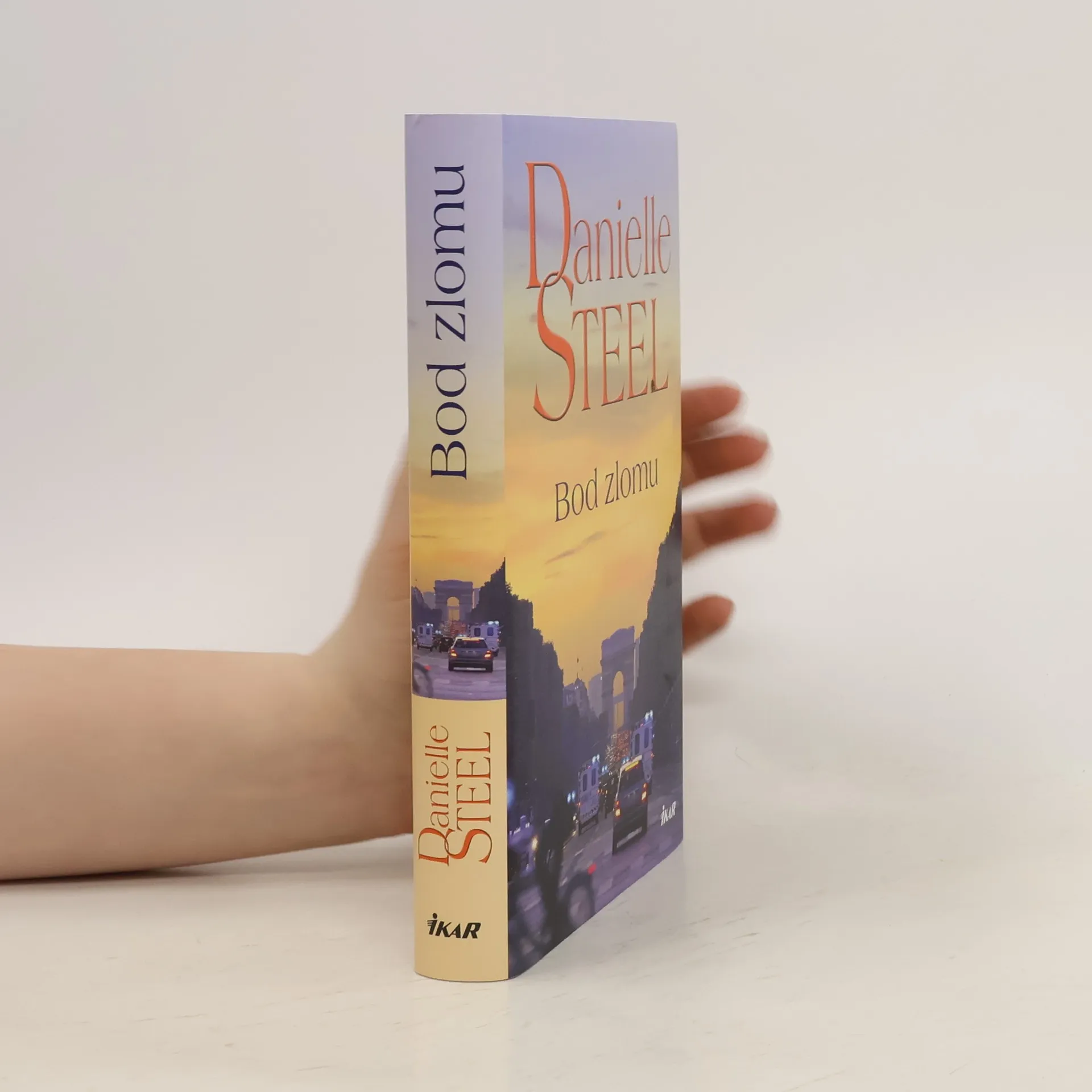 Bod zlomu | Kniha | Danielle Steel | CS
