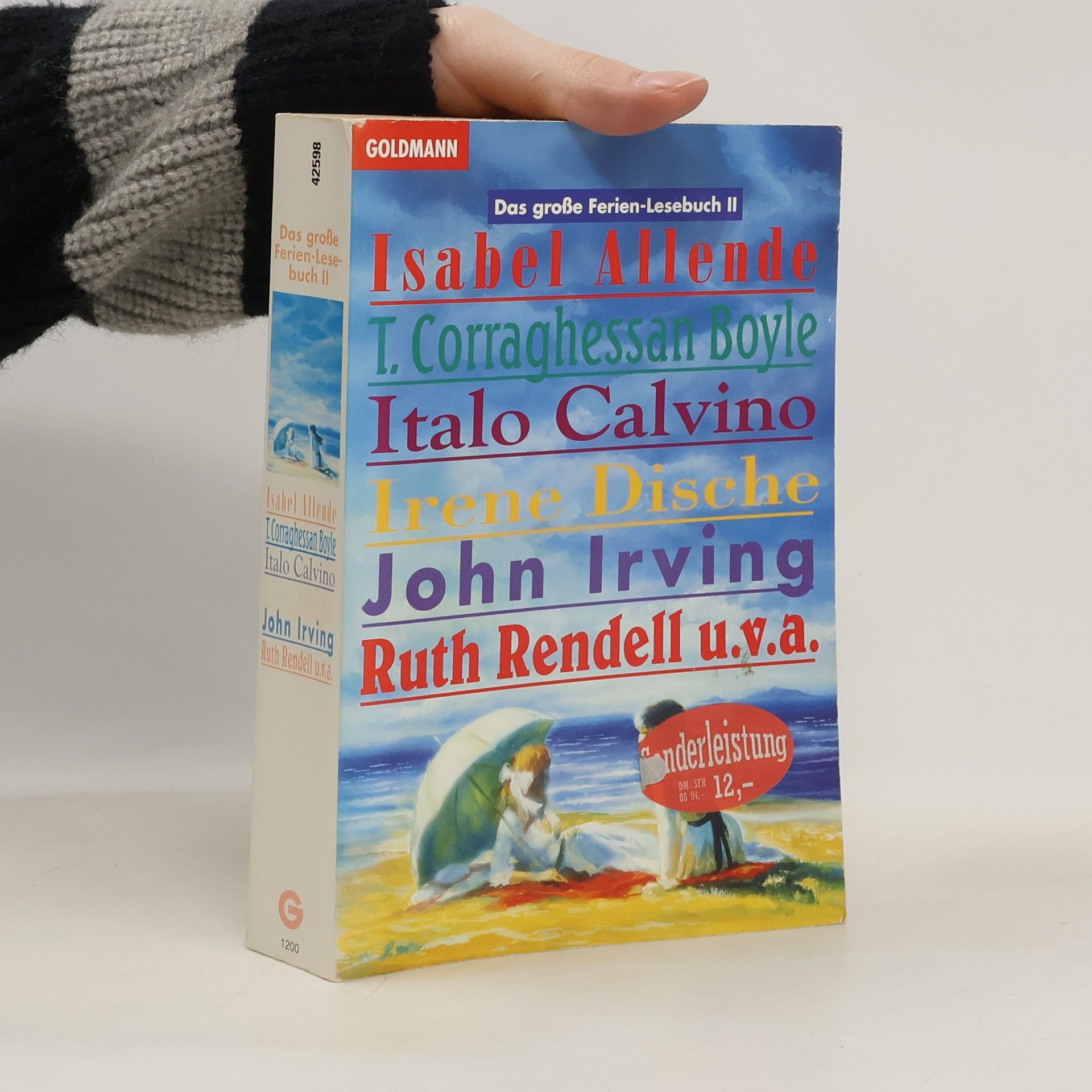 Kolektiv autorů Das große Ferien-Lesebuch II