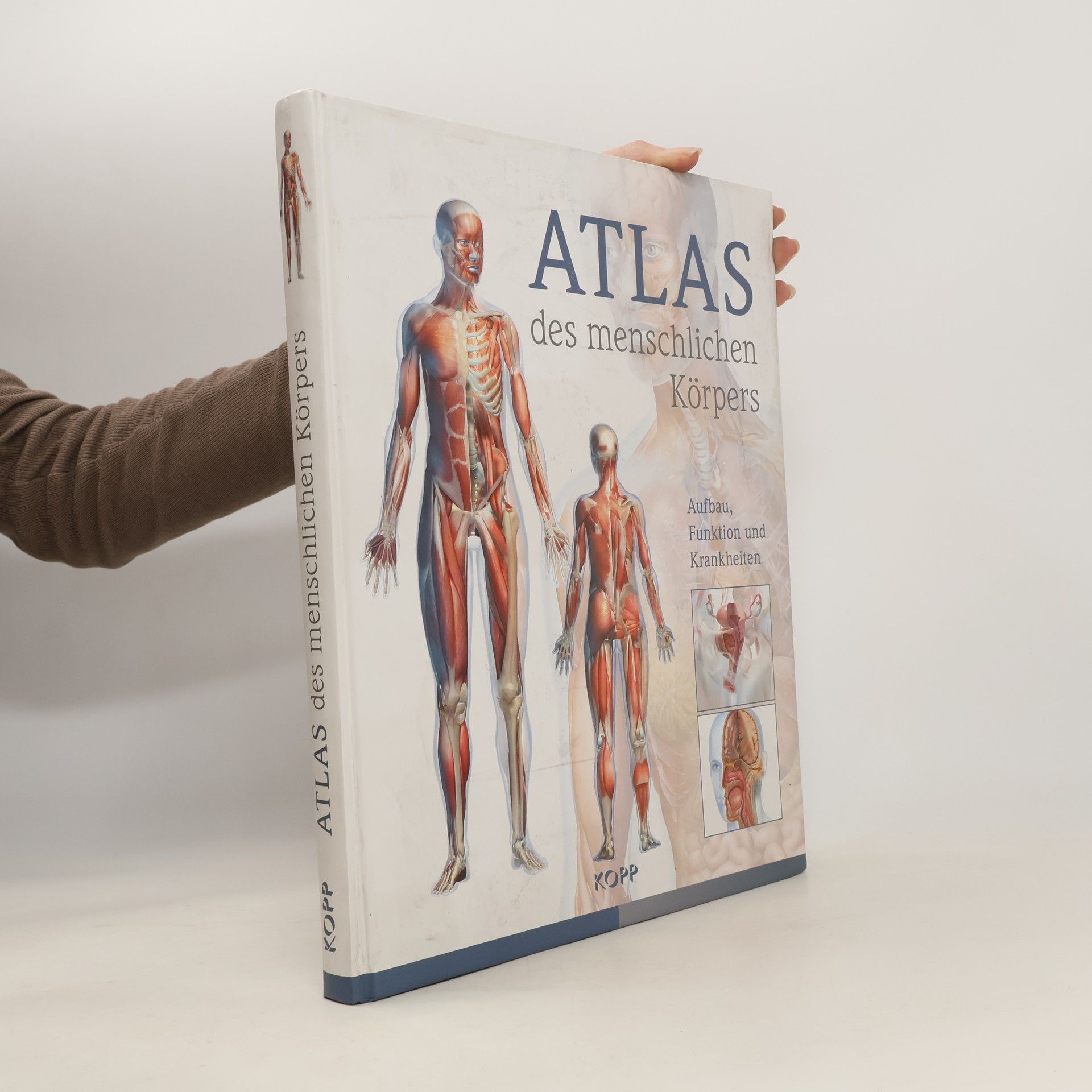 Autorenkollektiv Atlas des menschlichen Körpers