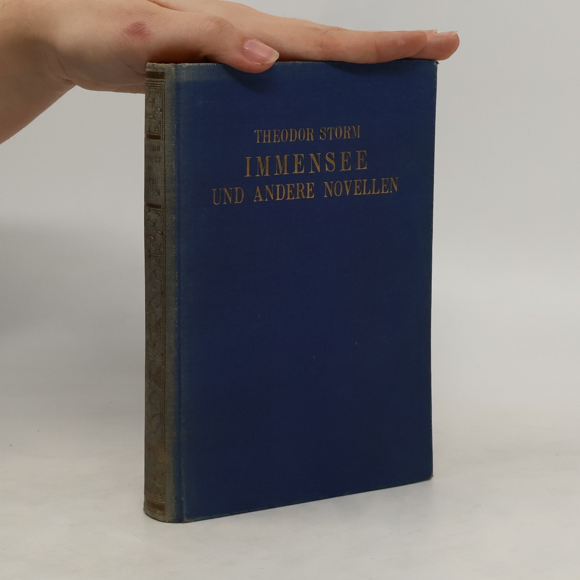 Theodor Storm Immensee und andere Novellen