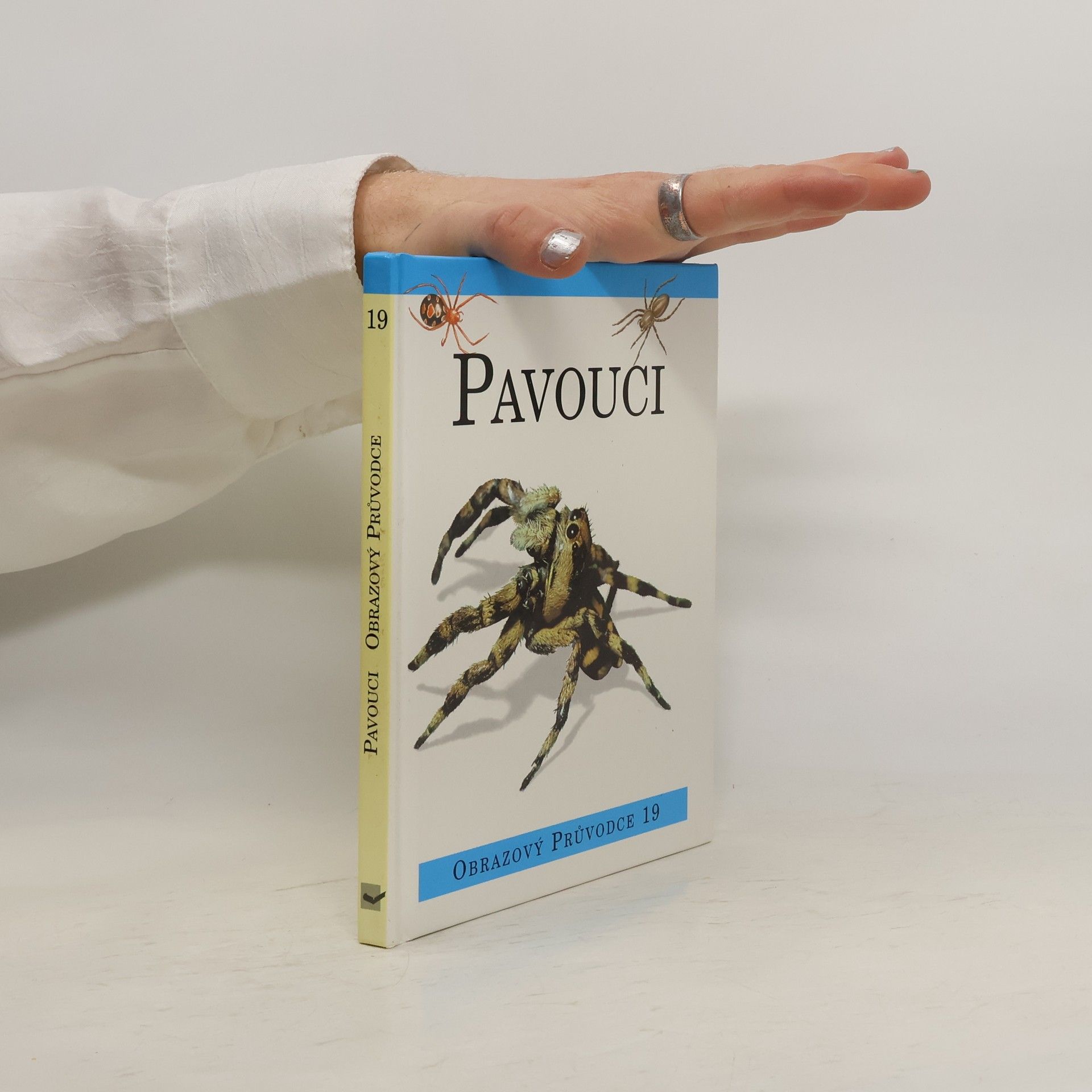 Antonín Kůrka Pavouci