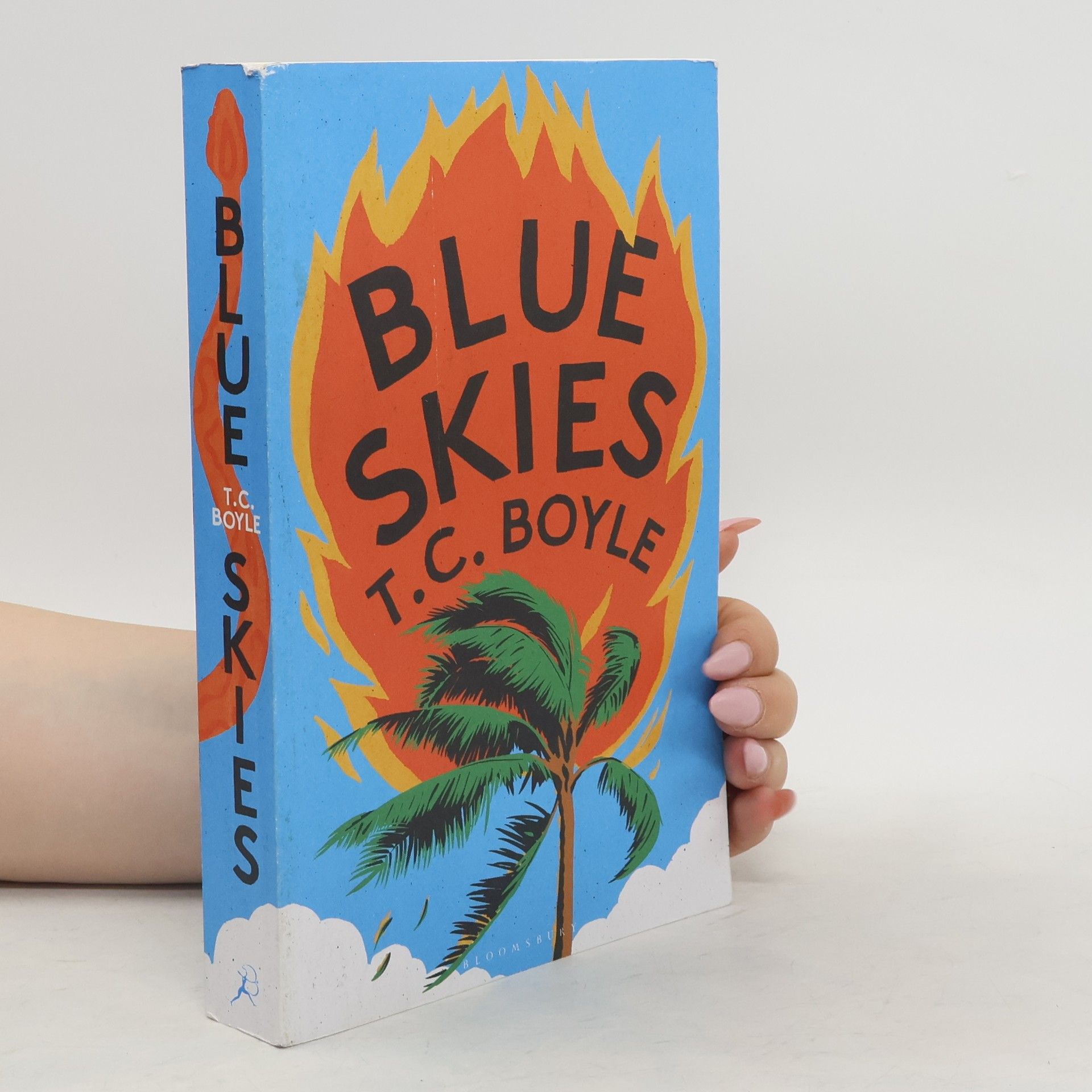 Tom Coraghessan Boyle Blue Skies