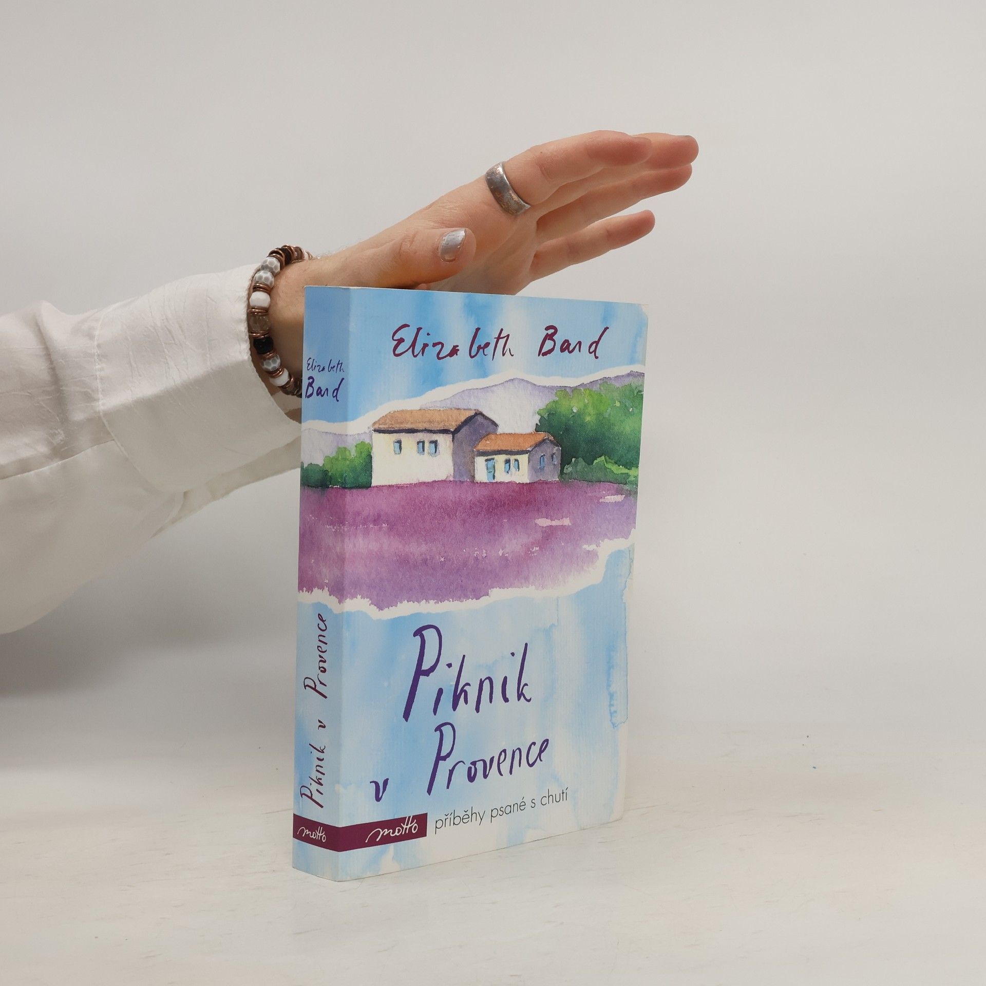 Elizabeth Bard Piknik v Provence