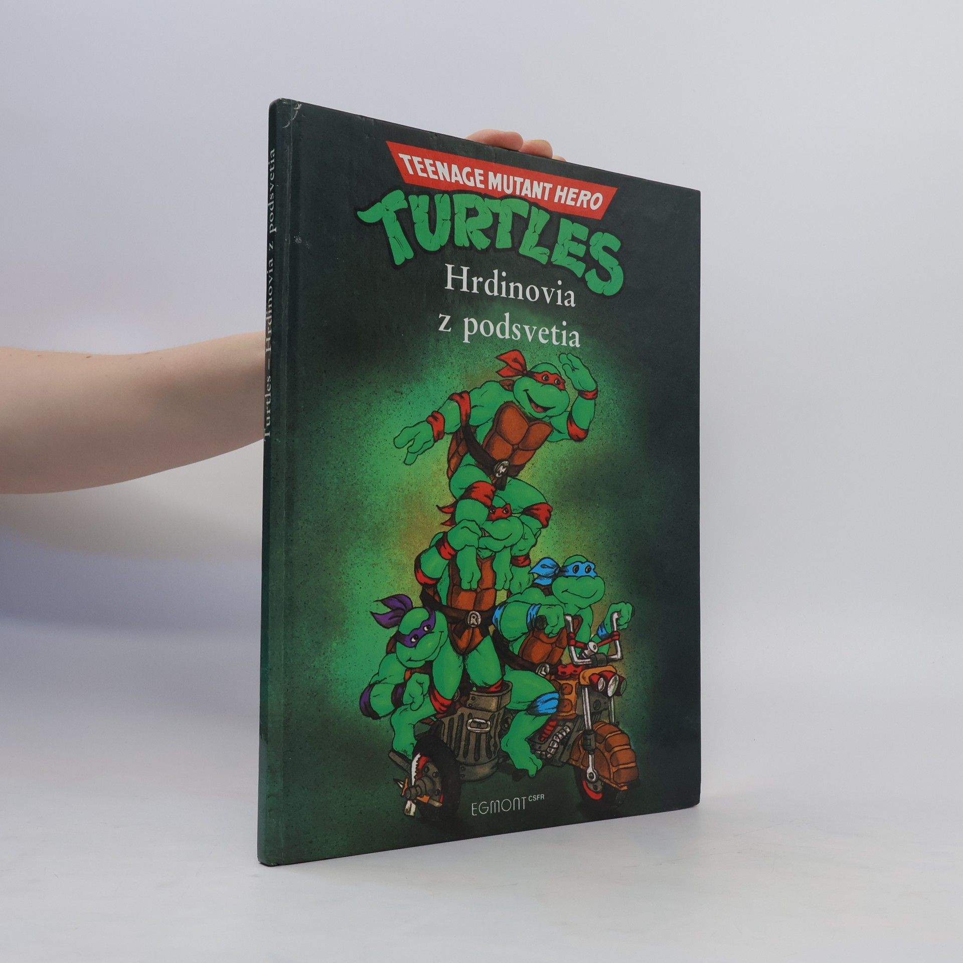 Maureen Spurgeon Turtles - Hrdinovia z podsvetia