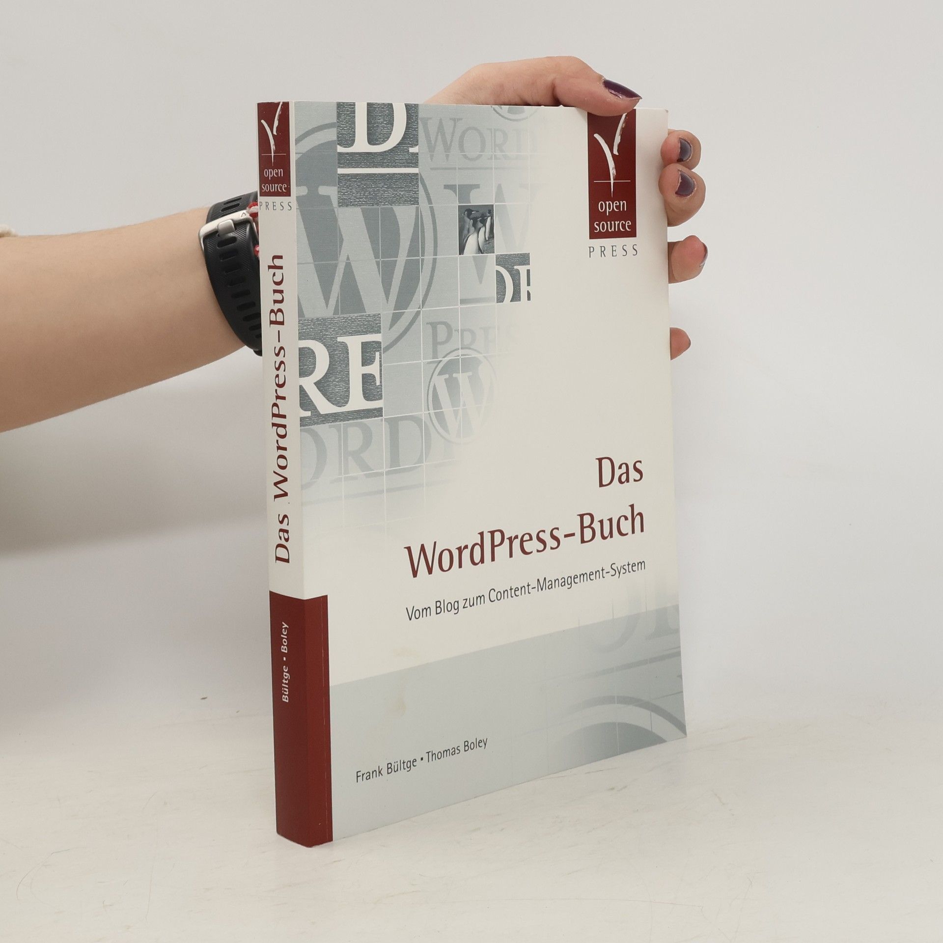 Frank Bültge Das WordPress-Buch