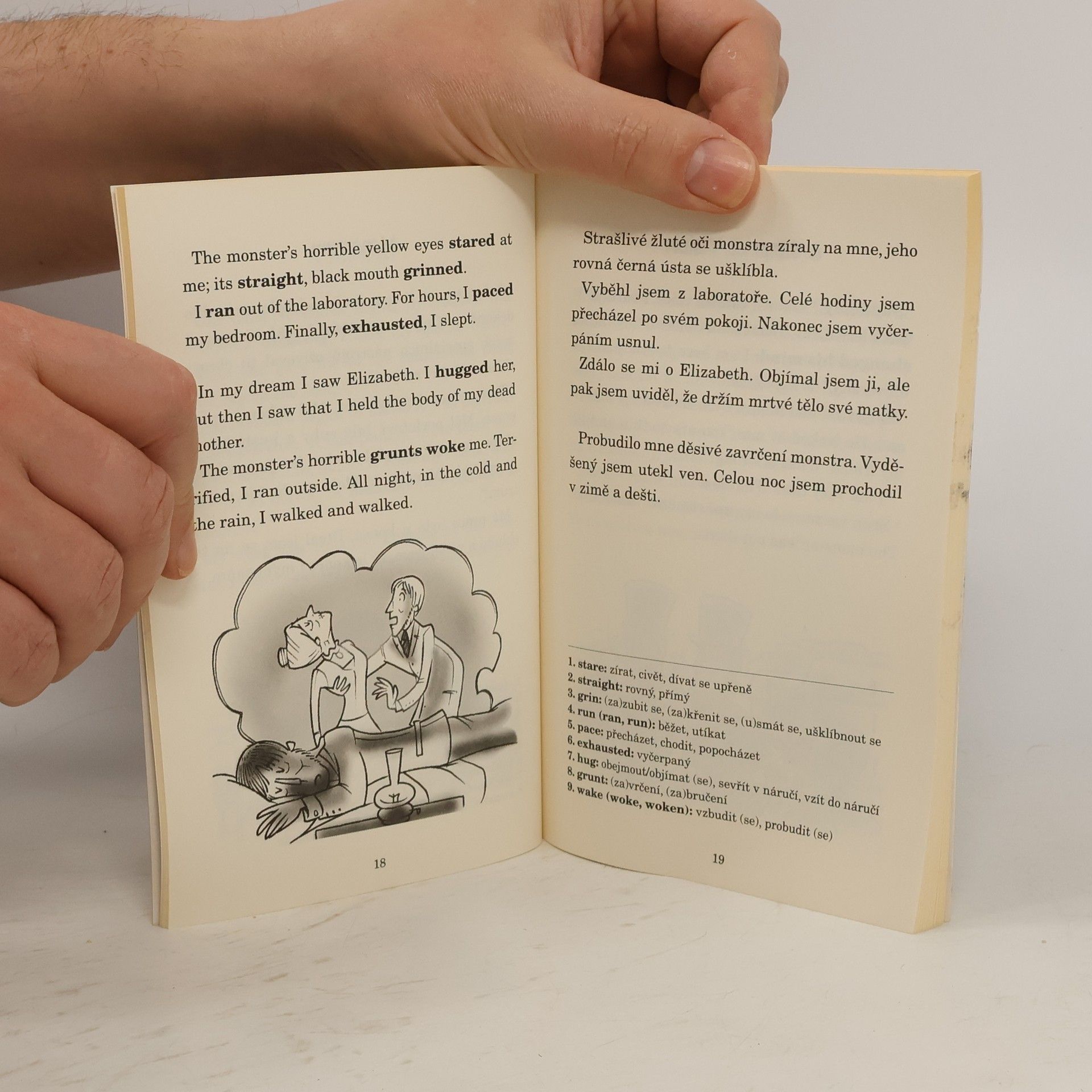 Mary Shelley Frankenstein