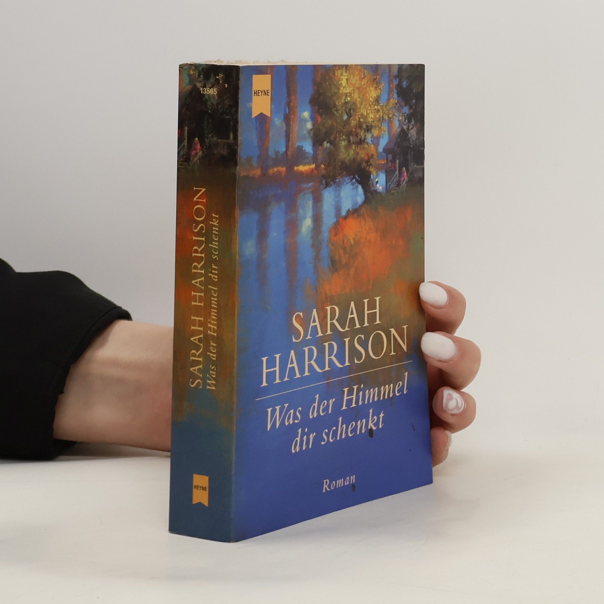 Sarah Harrison Was der Himmel dir schenkt