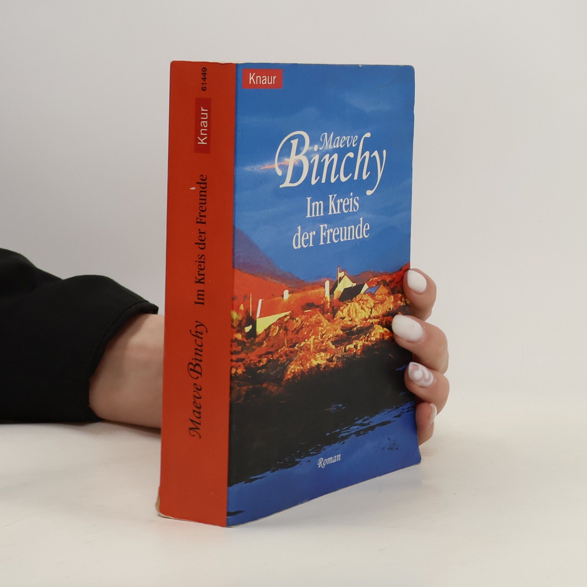 Maeve Binchy Im Kreis der Freunde