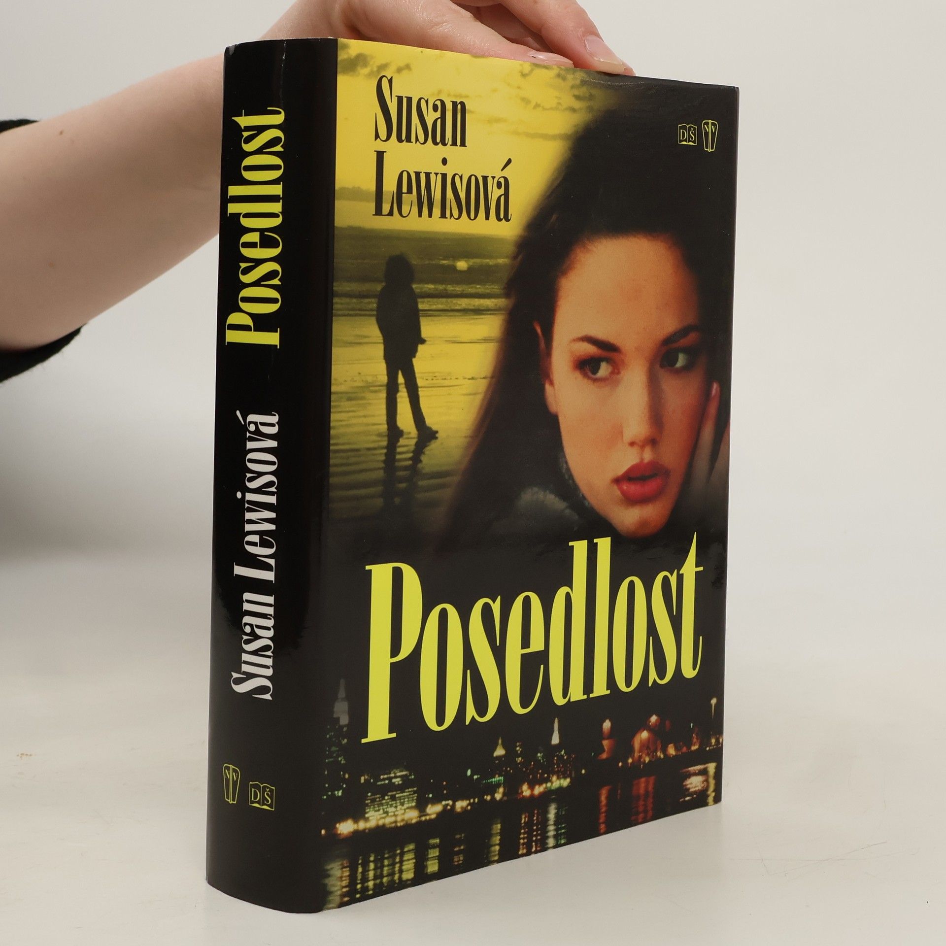 Susan Lewis Posedlost