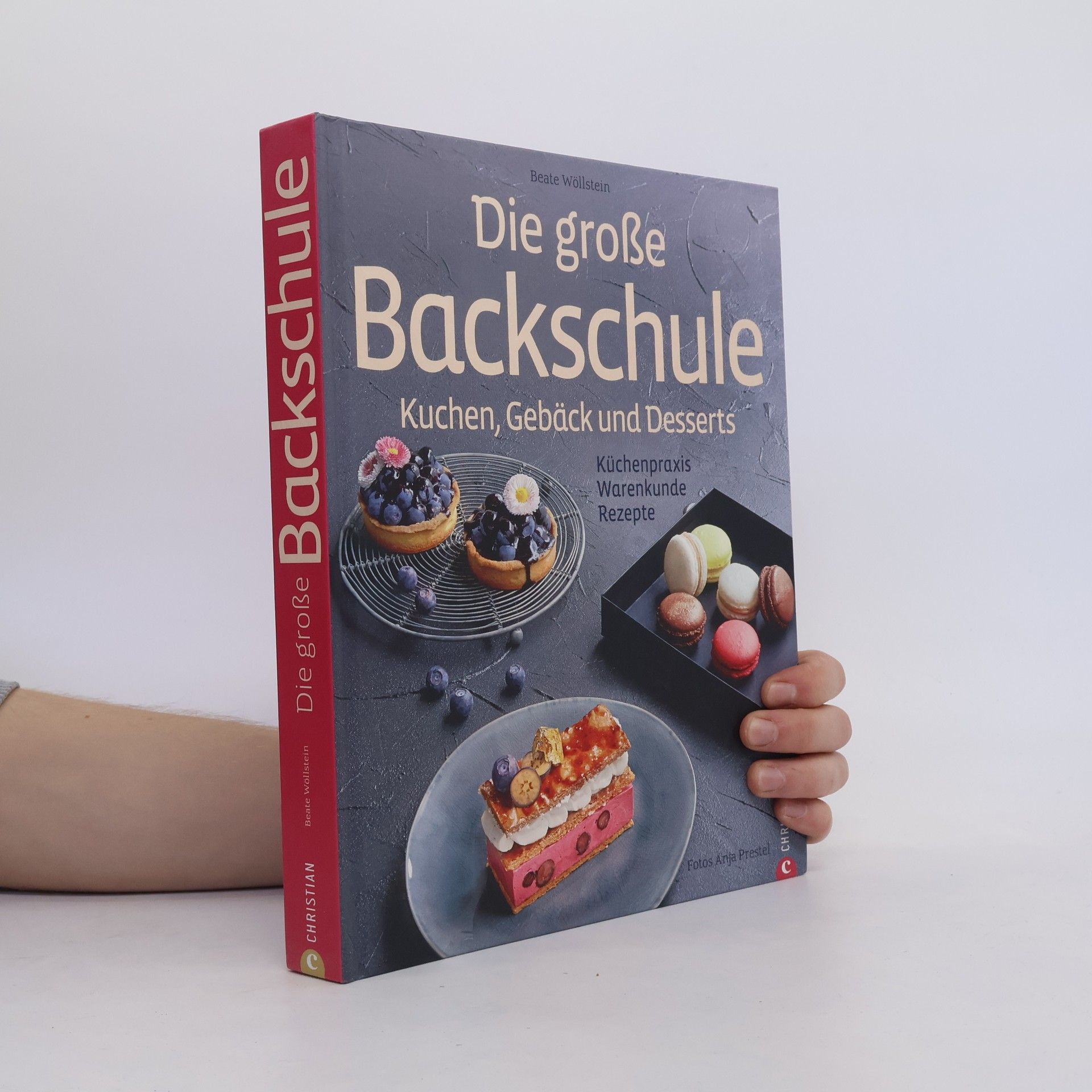 Beate Wöllstein Die große Backschule