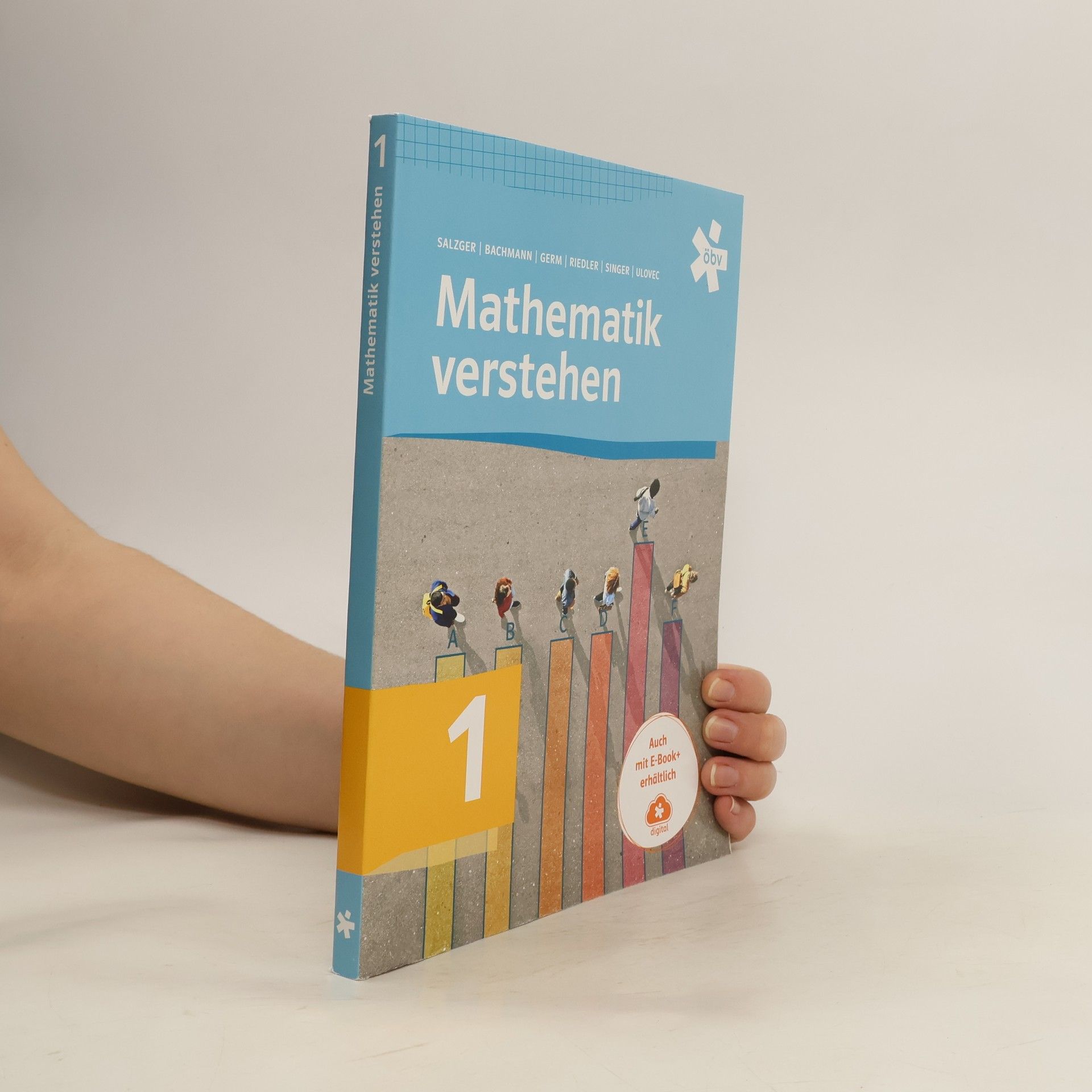 Kolektiv autorů Mathematik verstehen