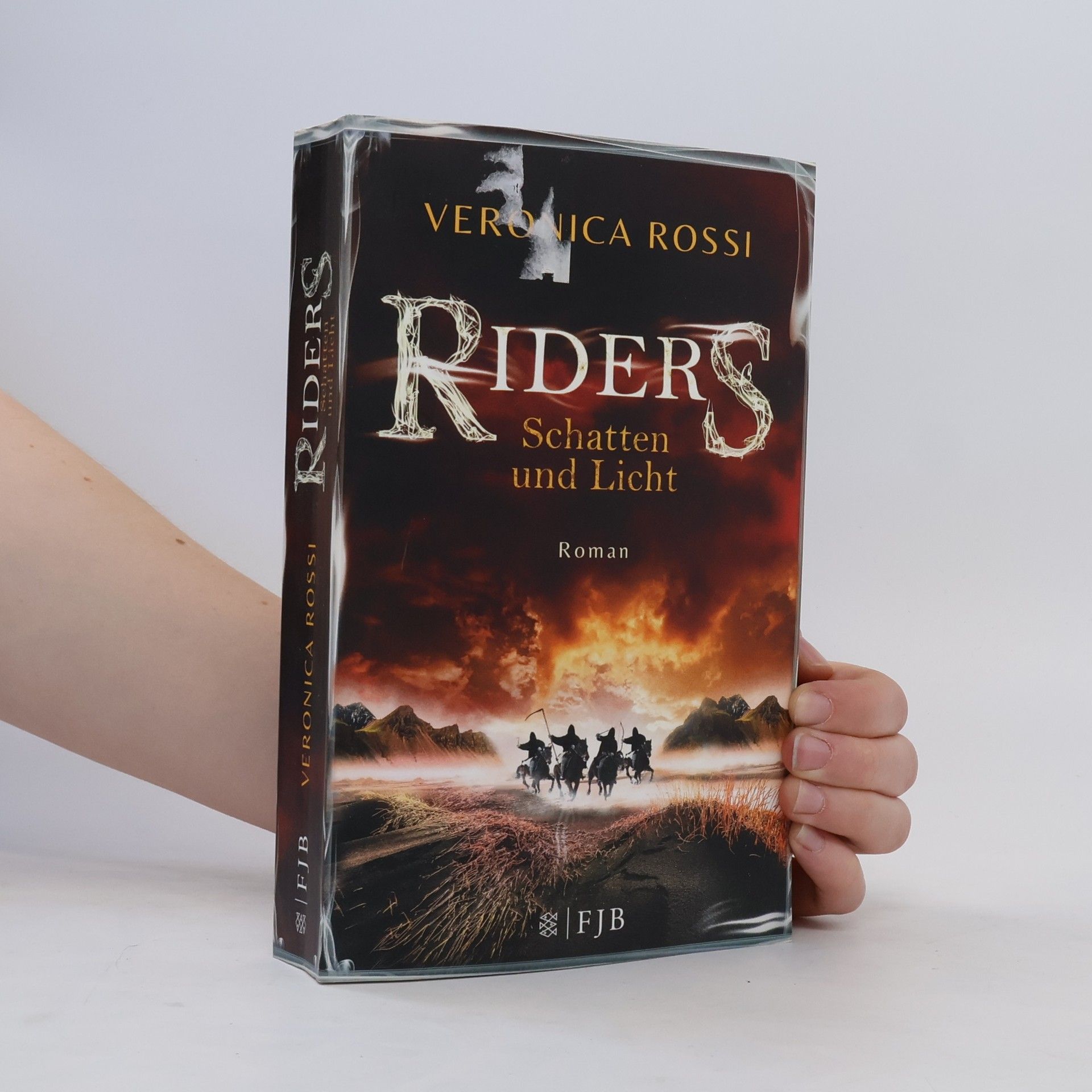 Veronica Rossi Riders - Schatten und Licht