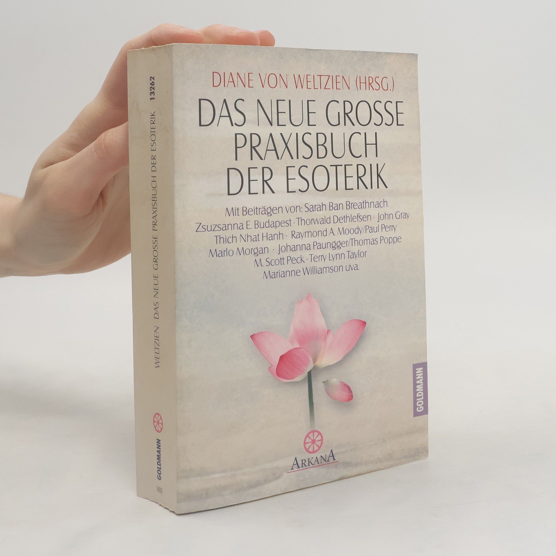 Diane von Weltzien Das neue grosse Praxisbuch der Esoterik