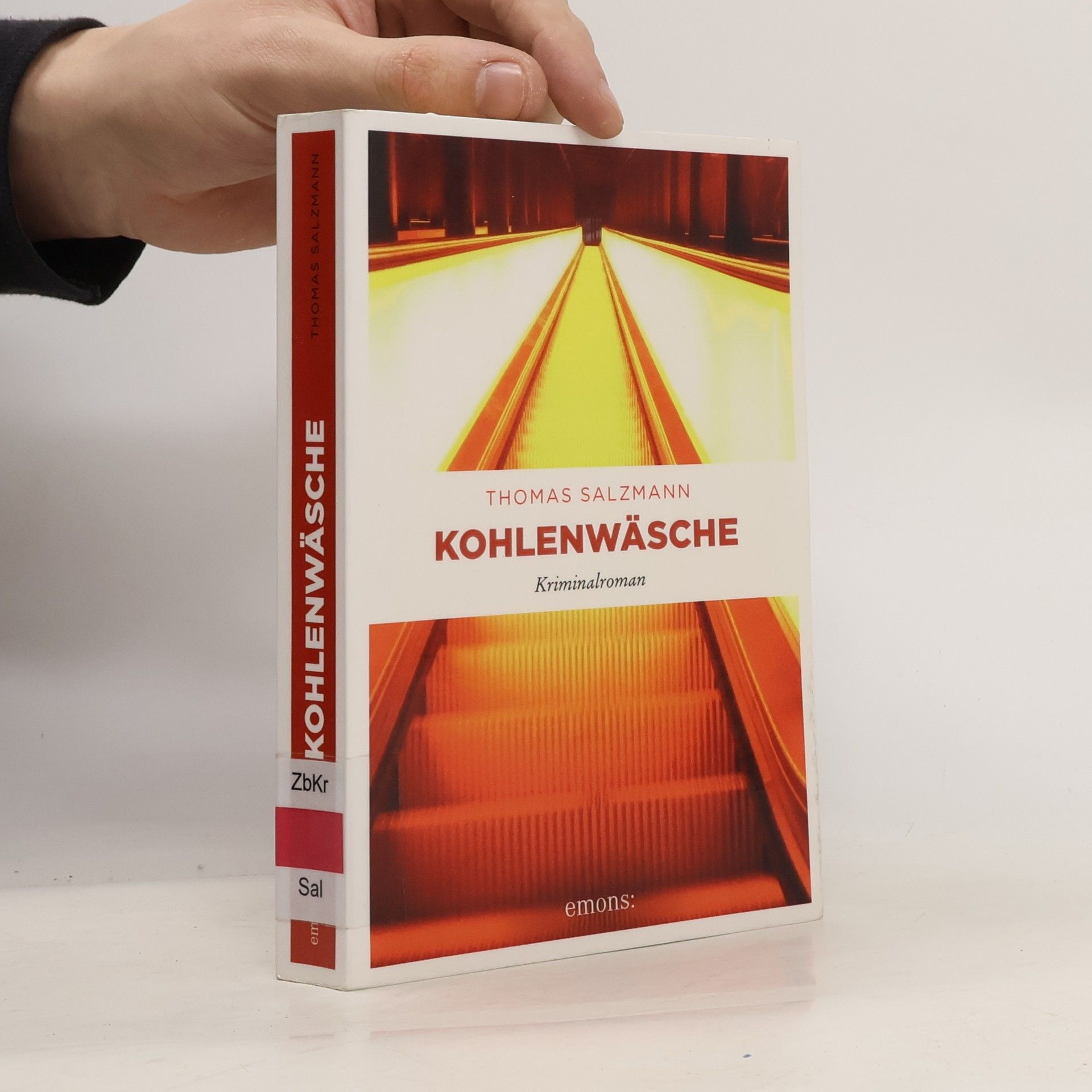 Thomas Salzmann Kohlenwäsche