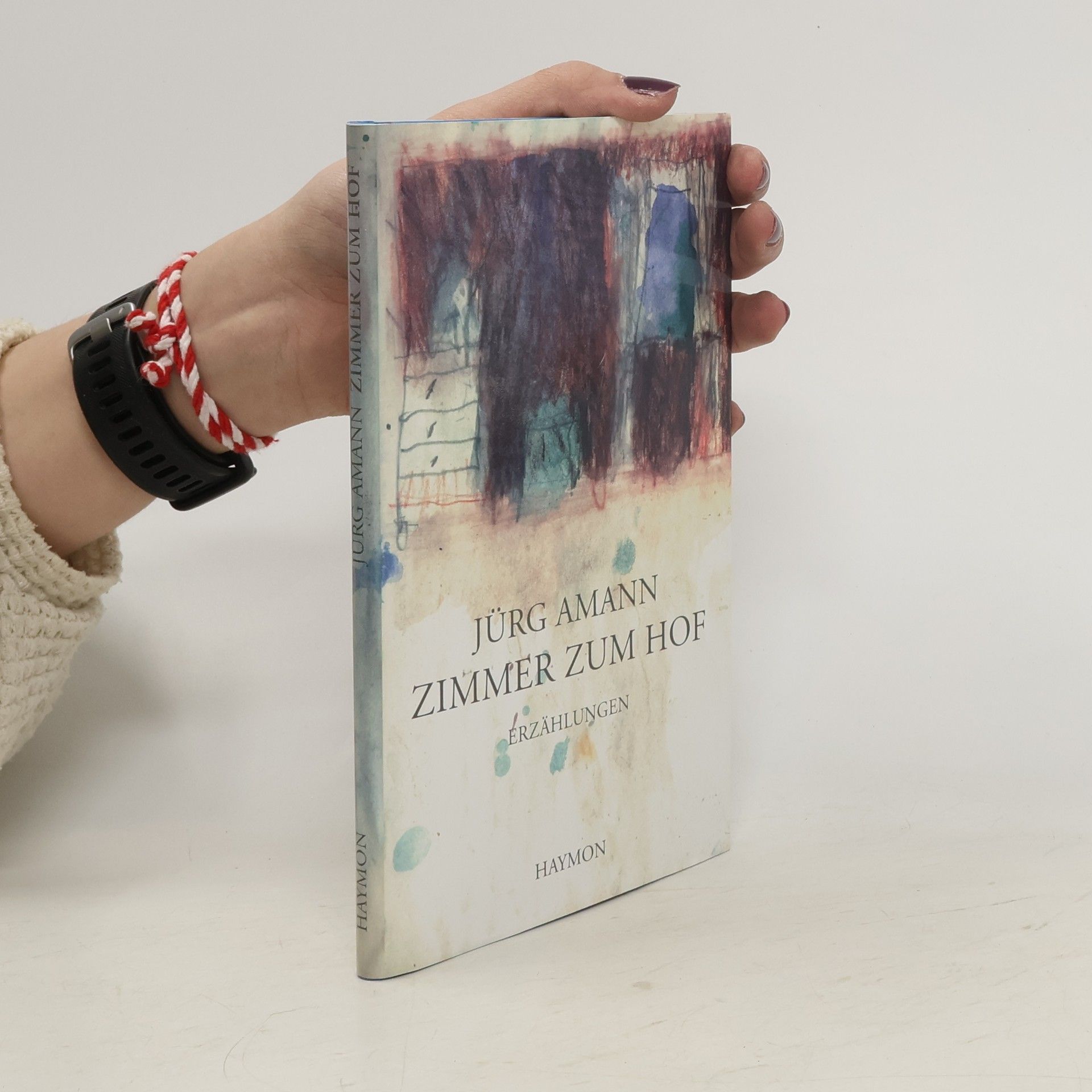 Jürg Amann Zimmer zum Hof