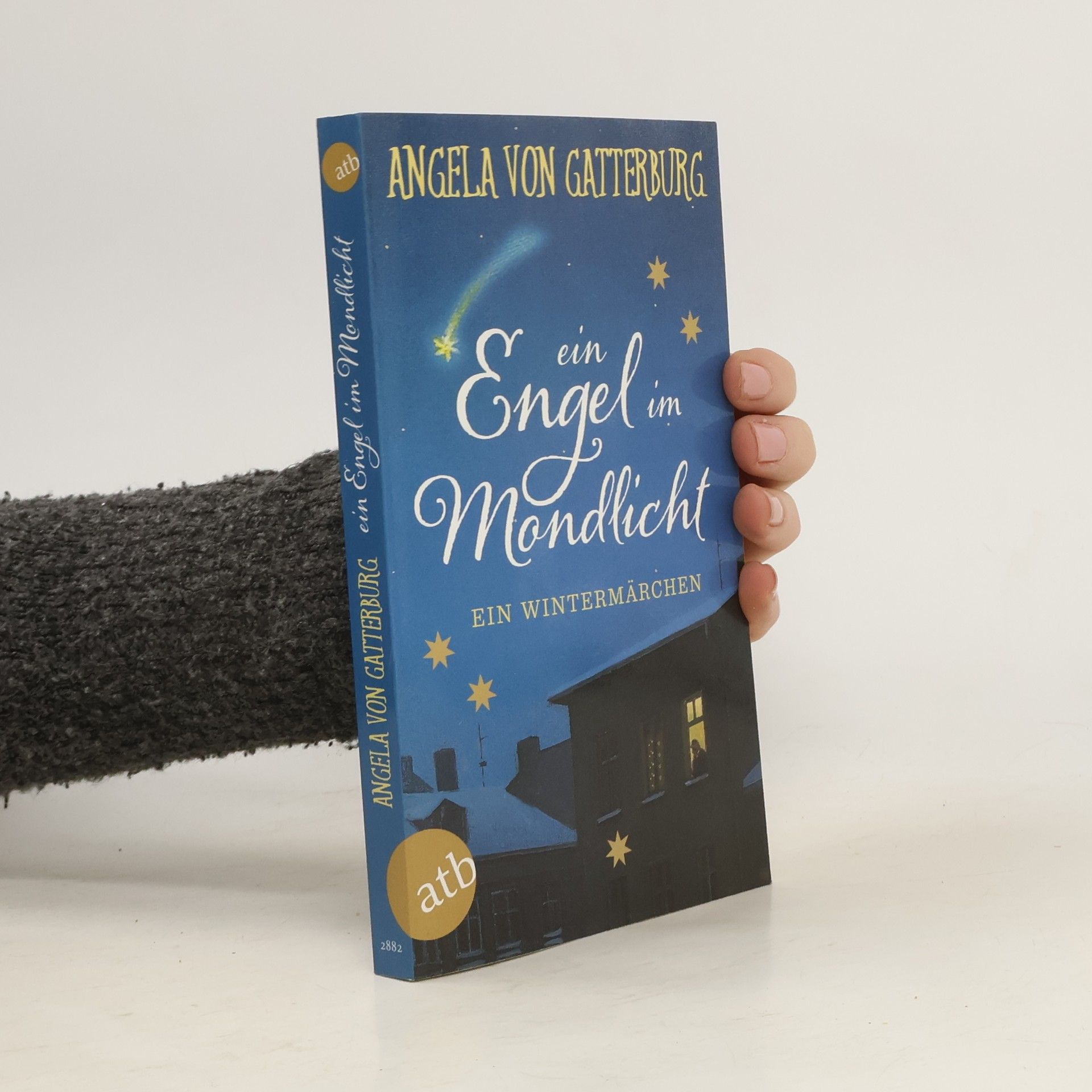 Angela Von Gatterburg Ein Engel im Mondlicht
