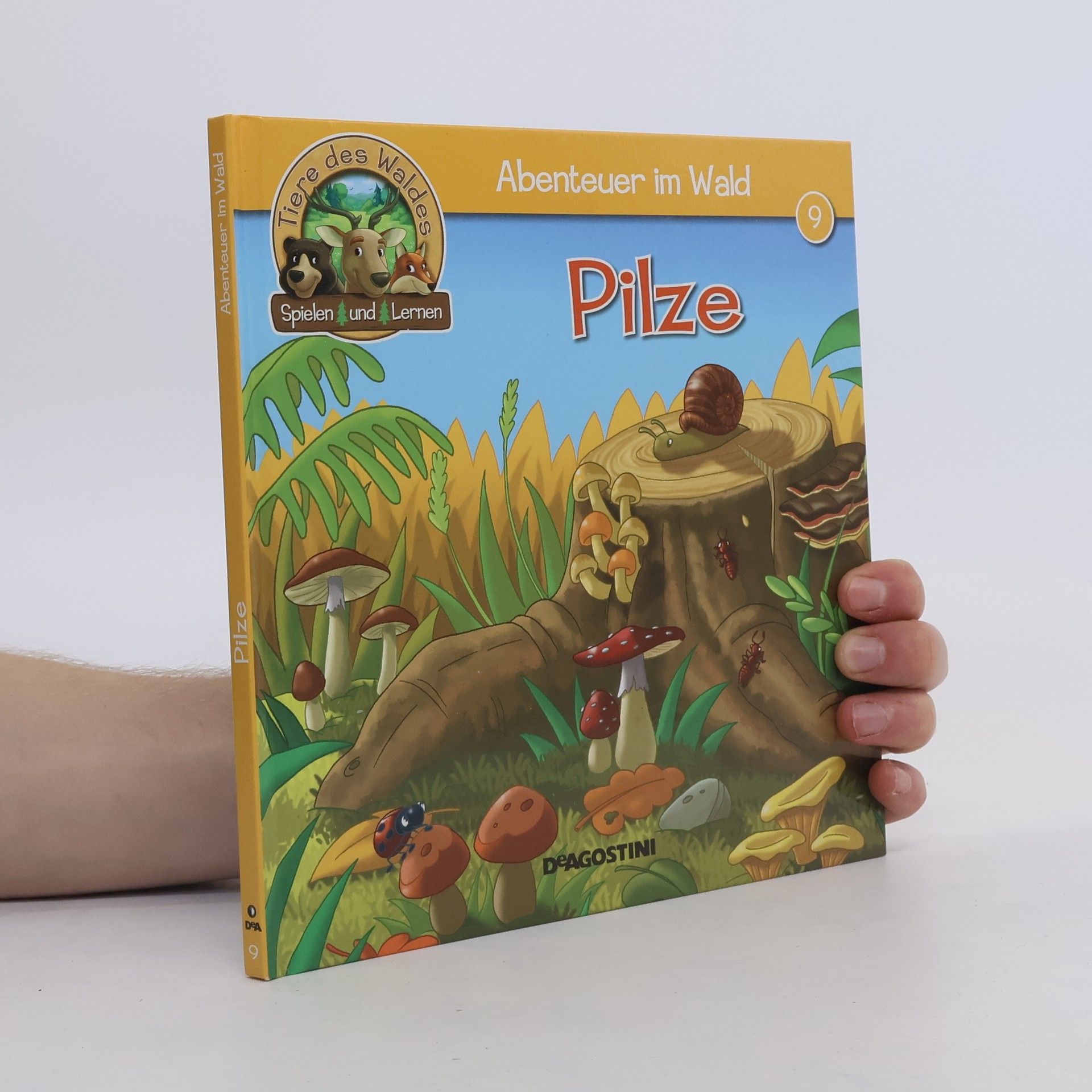 Autorenkollektiv Abenteuer im Wald. Pilze