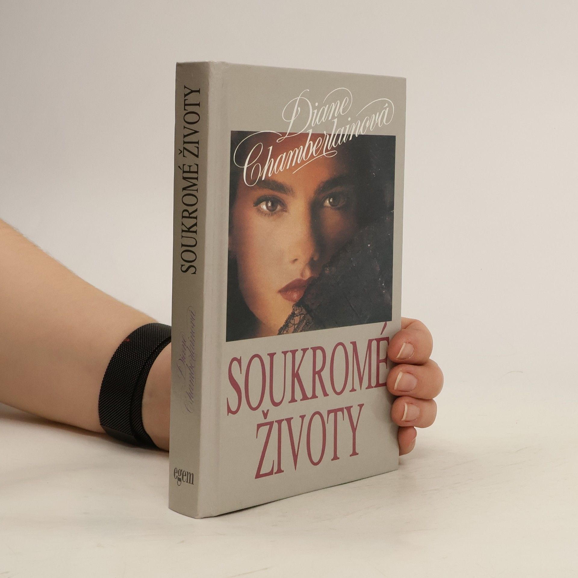 Diane Chamberlain Soukromé životy