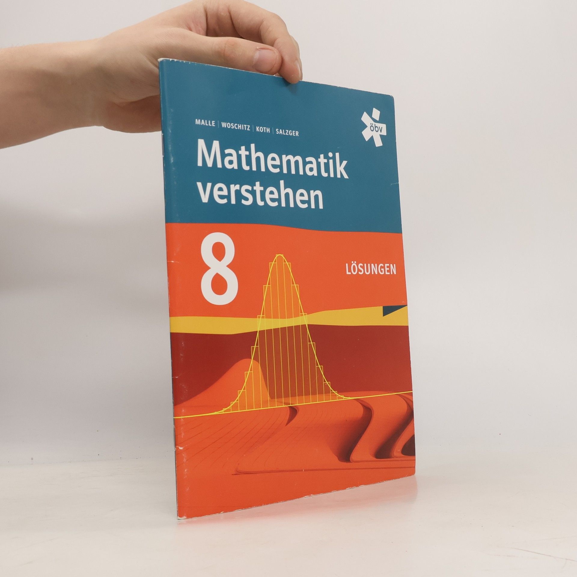 Günther Malle Mathematik verstehen 8 Lösungen