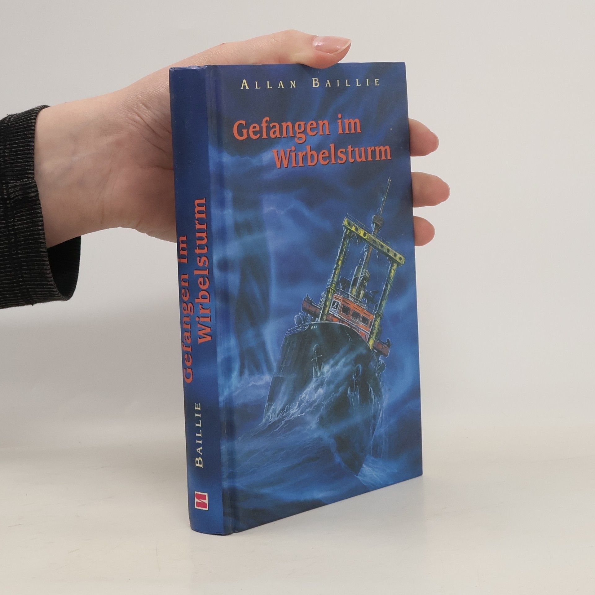 Allan Baillie Gefangen im Wirbelsturm