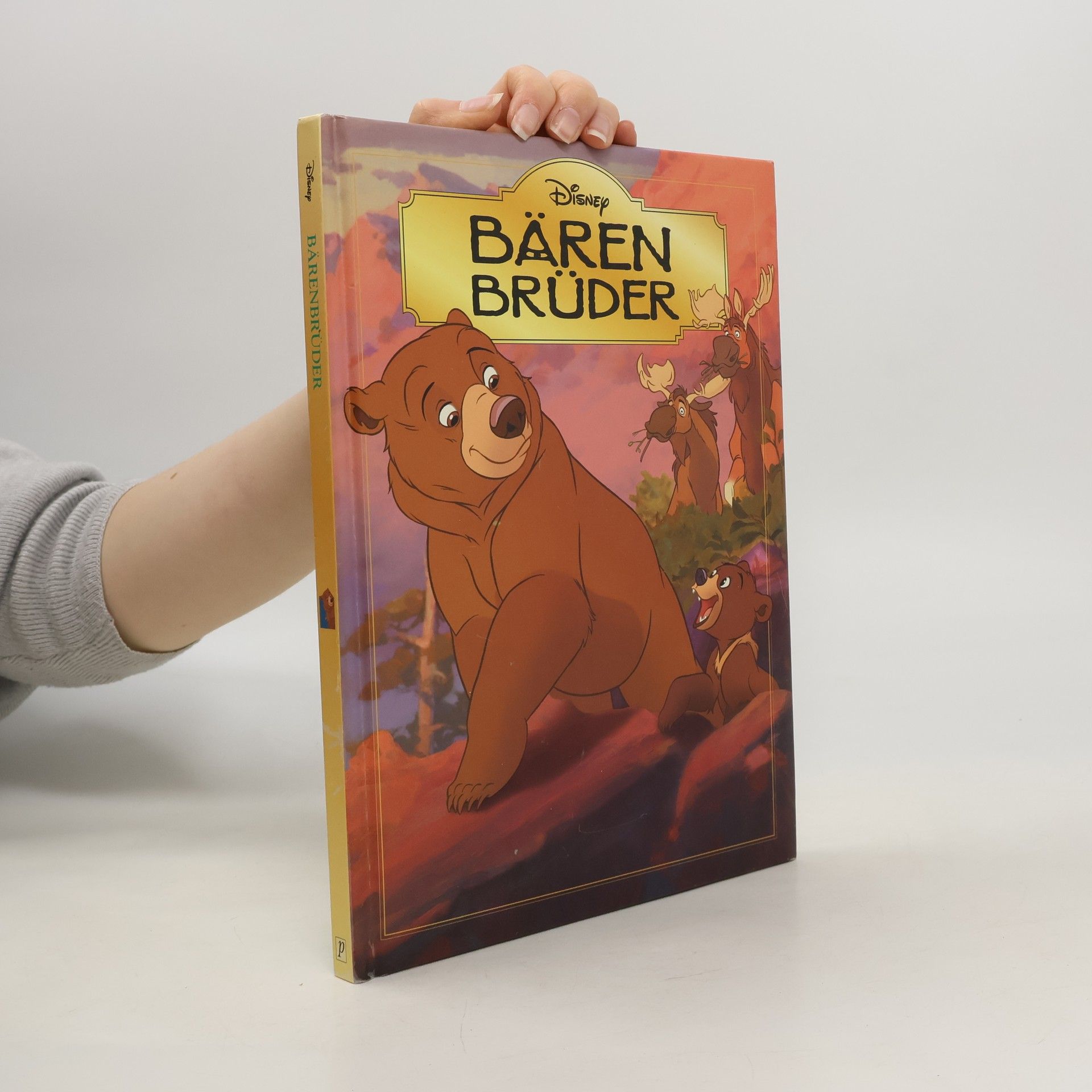 Walt Disney Bärenbrüder