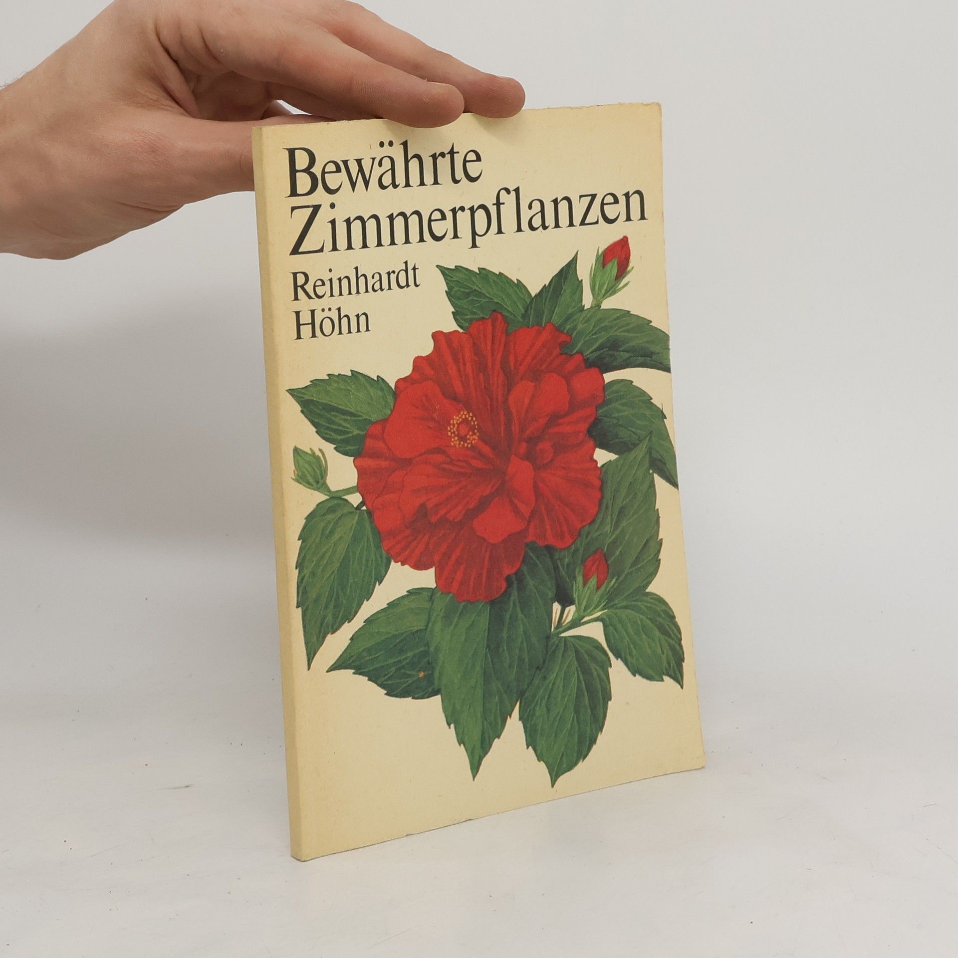 Reinhardt Höhn Bewährte Zimmerpflanzen