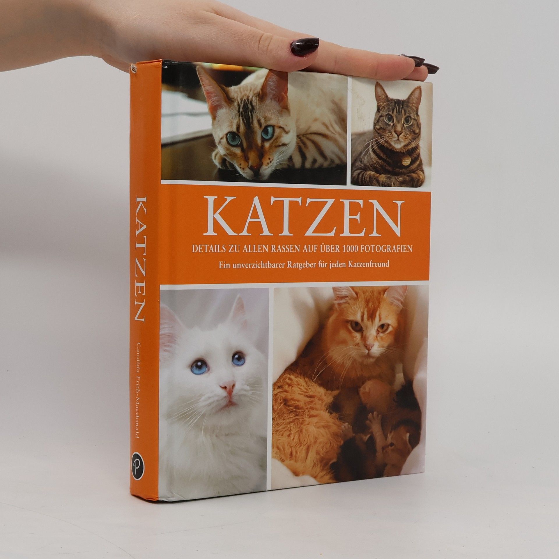 Candida Frith-Macdonald Katzen